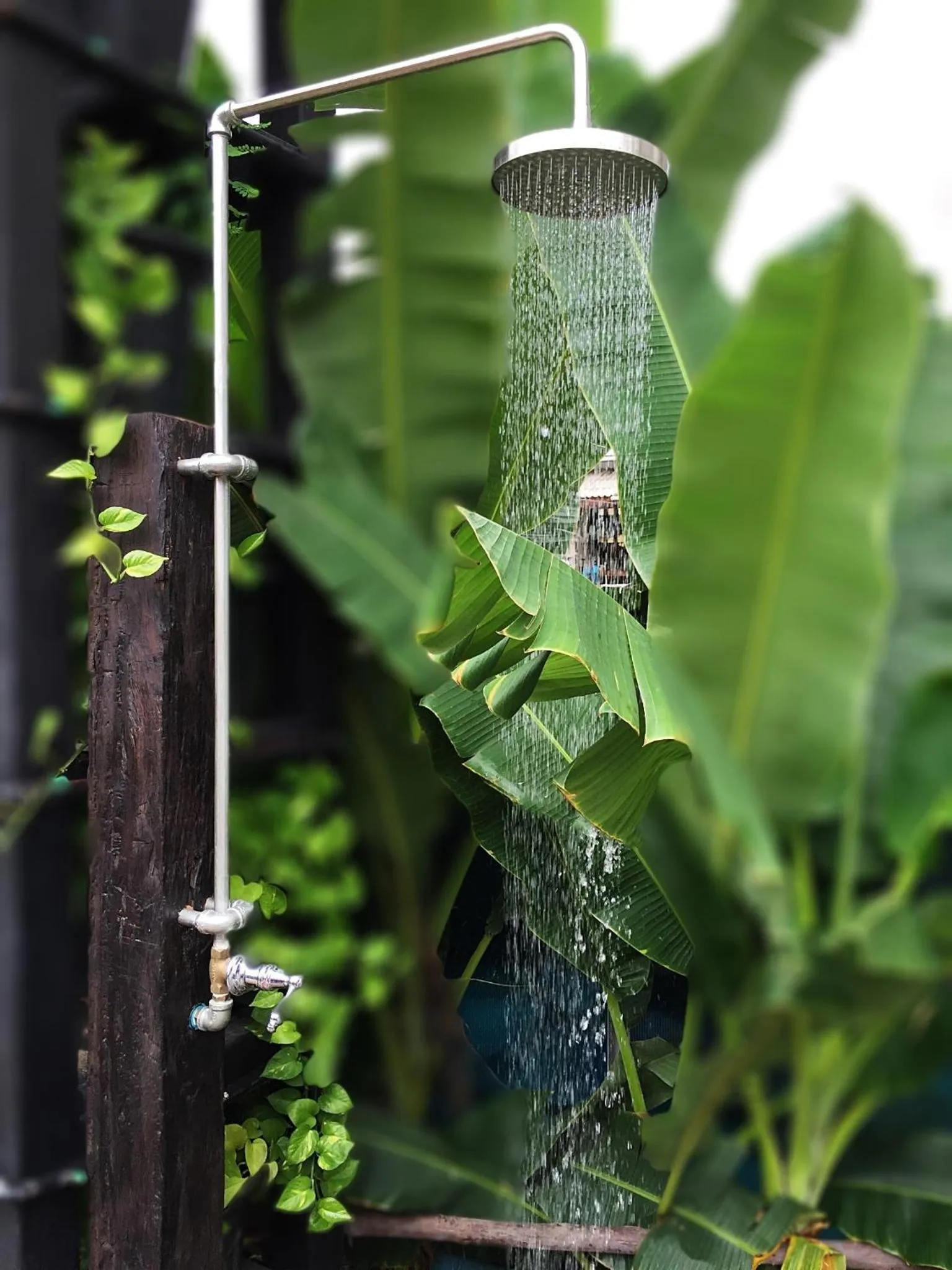 Swimming pool in Baan Saen Fang Chiang Mai