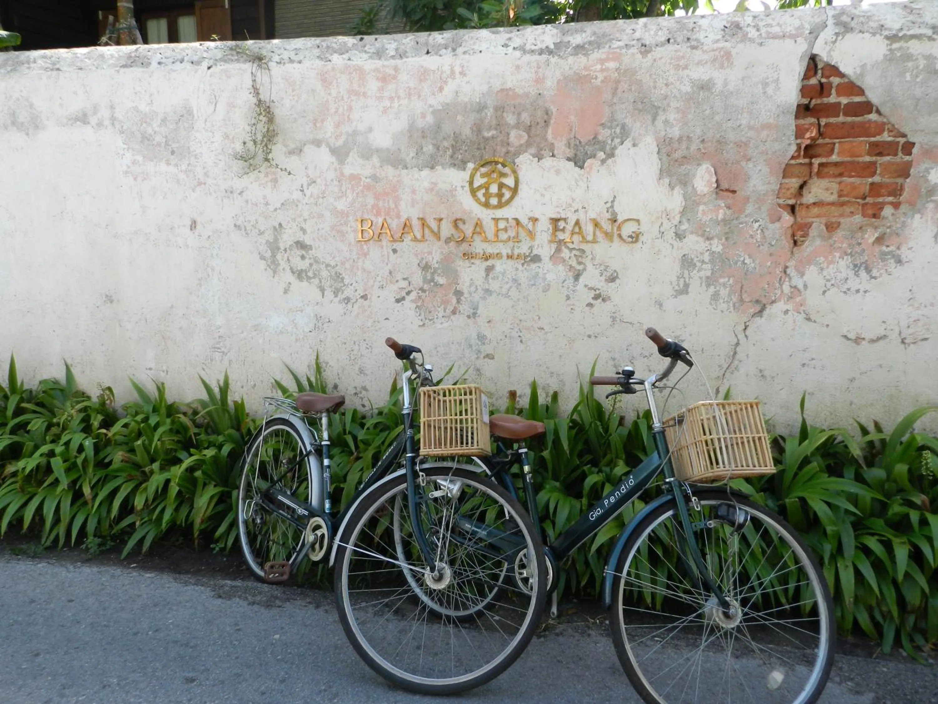 Cycling in Baan Saen Fang Chiang Mai