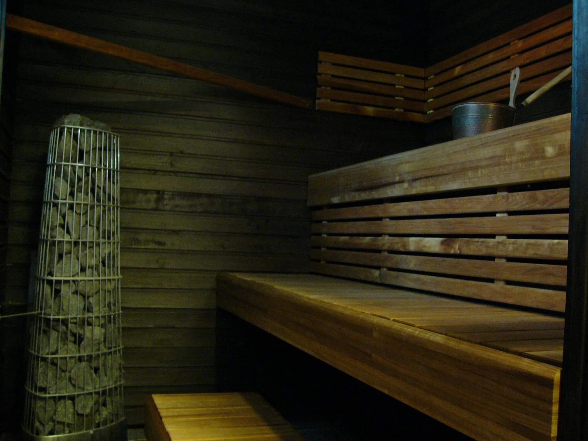 Sauna in Hotelli Aliisa