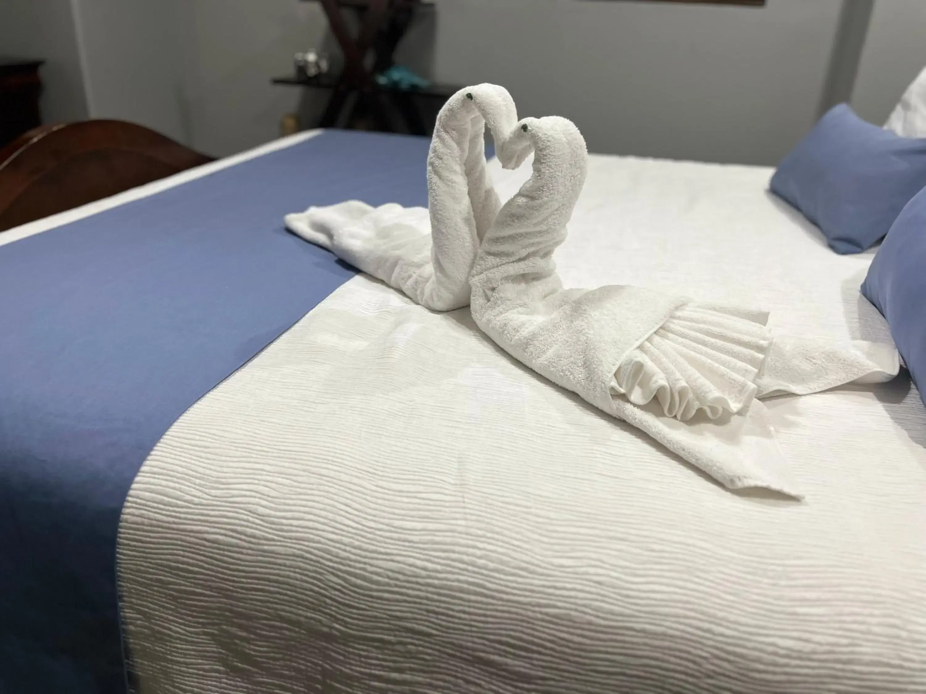 Bed in Las Palomas Beach & Golf Resort Bed in Las Palomas Beach & Golf Resort