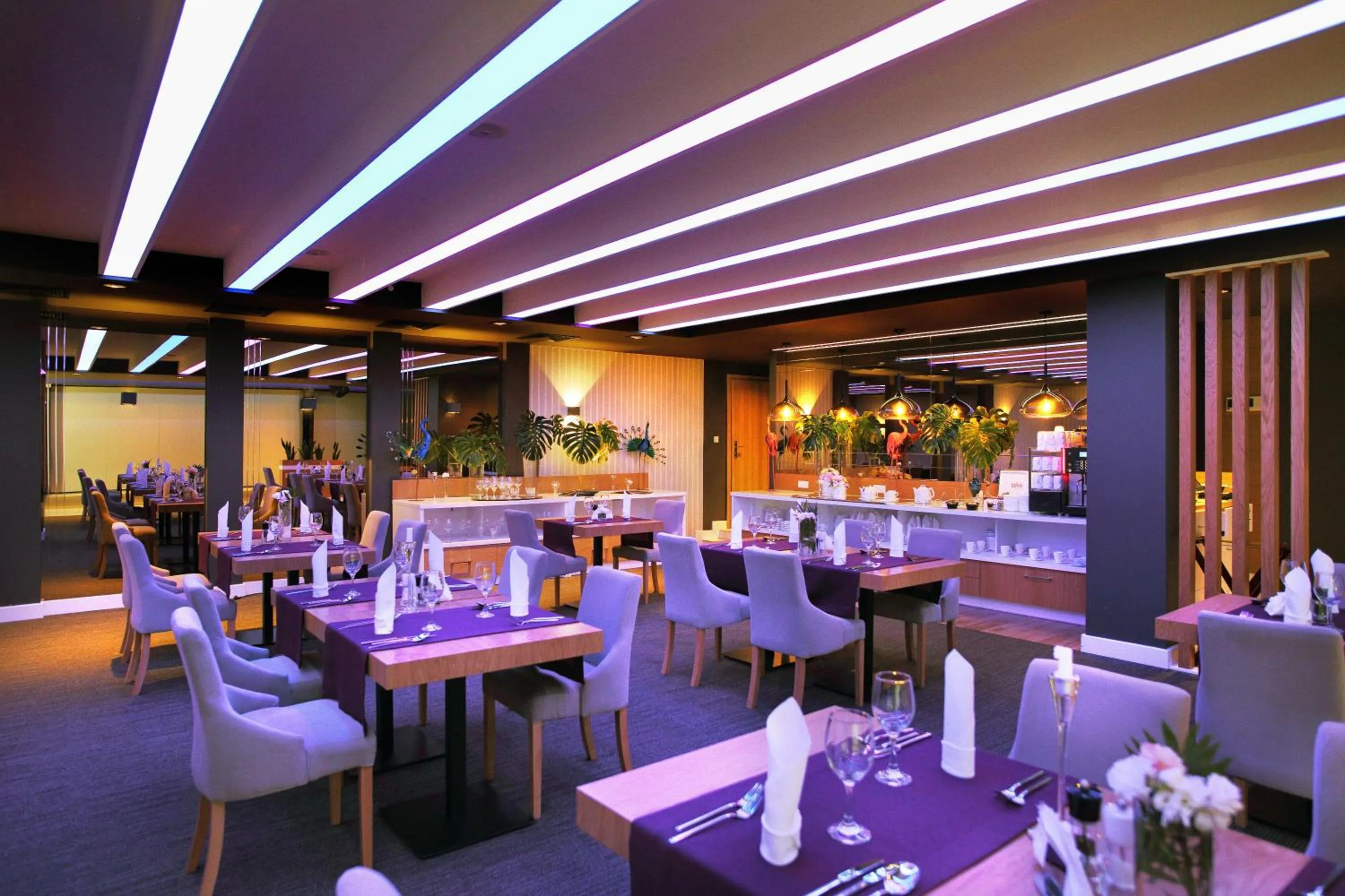 Restaurant/places to eat in Elba Hotel
