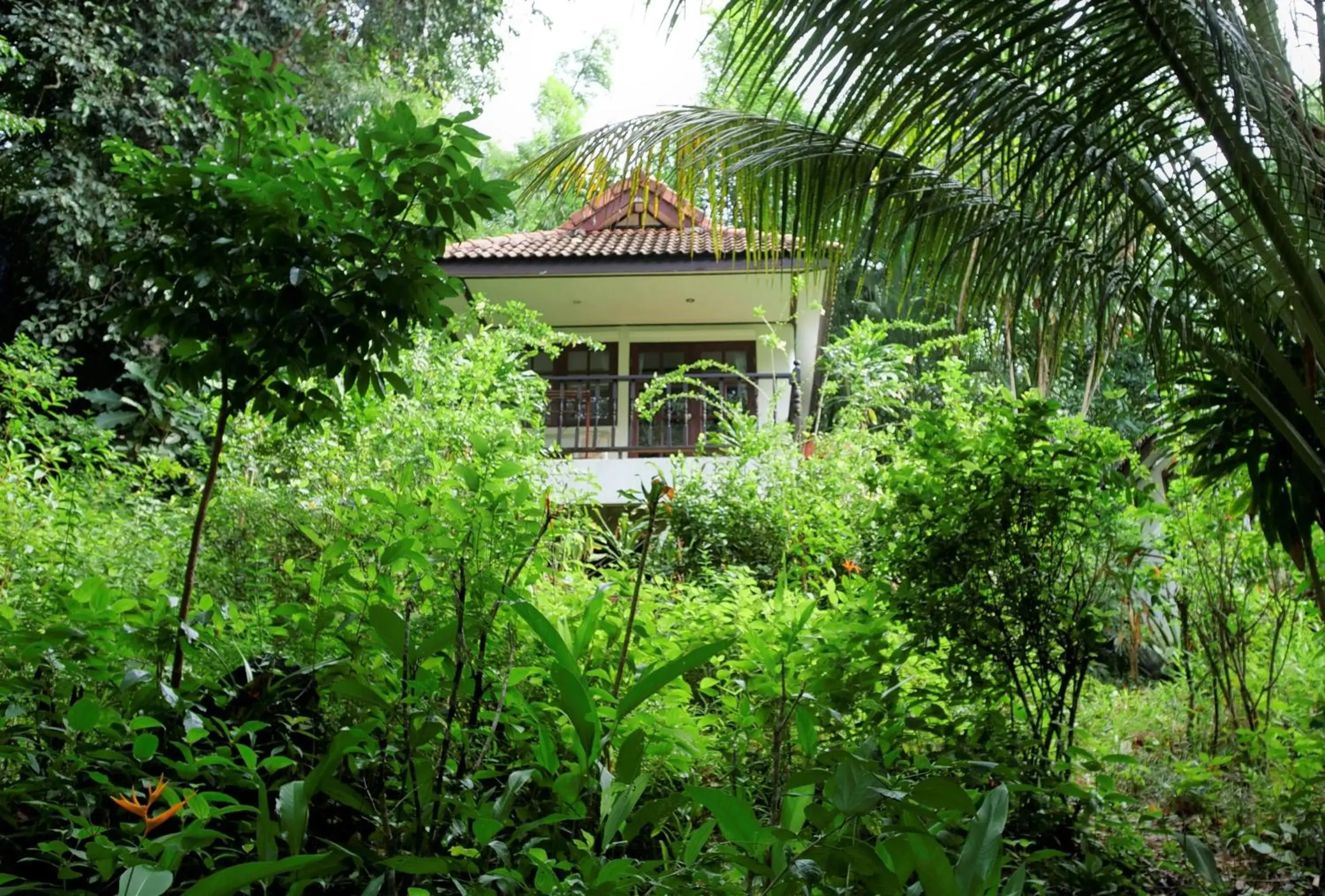 Bungalow with Sea View in Poseidon Bungalows Bungalow with Sea View in Poseidon Bungalows