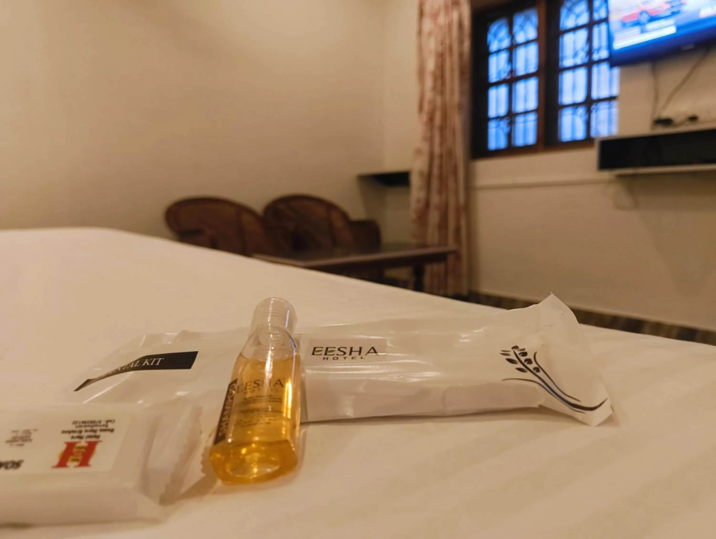 TV and multimedia in Hare Rama Hare Krishna - EESHA Hotel