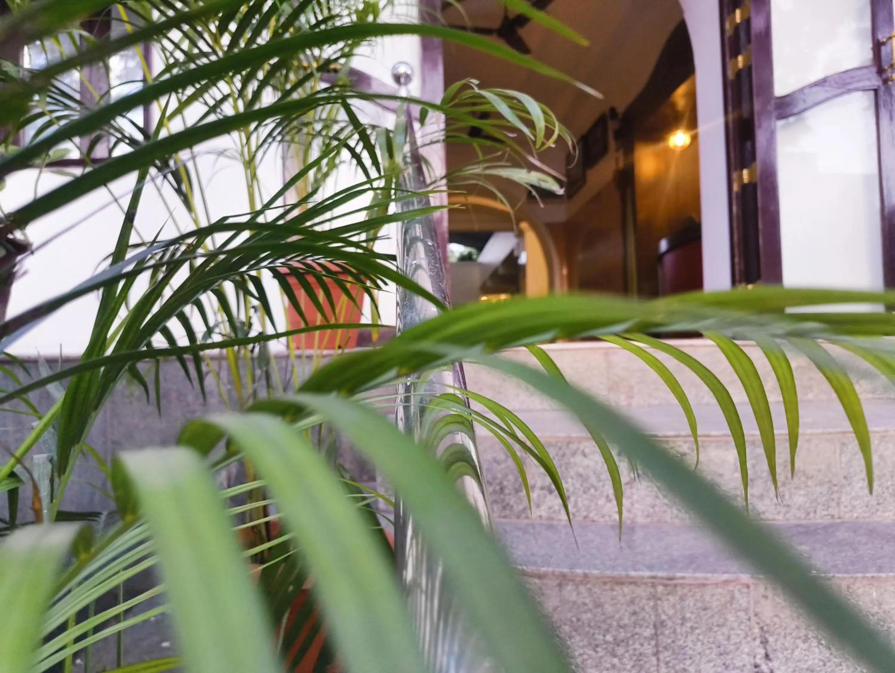 Day in Hare Rama Hare Krishna - EESHA Hotel