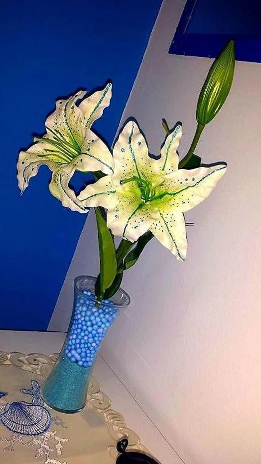 Bed&Breakfast La Cornucopia