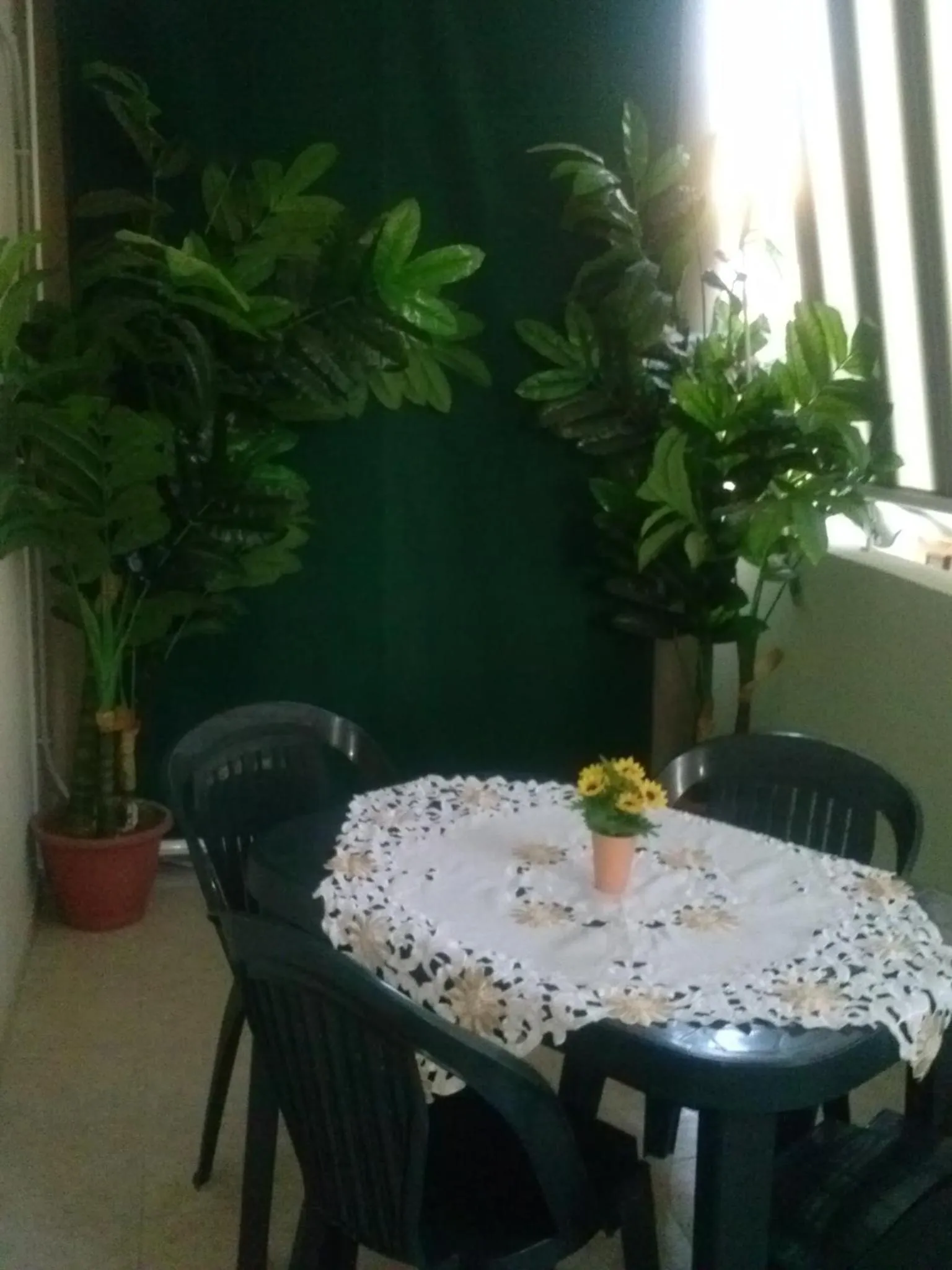 Balcony/Terrace in Bed&Breakfast La Cornucopia