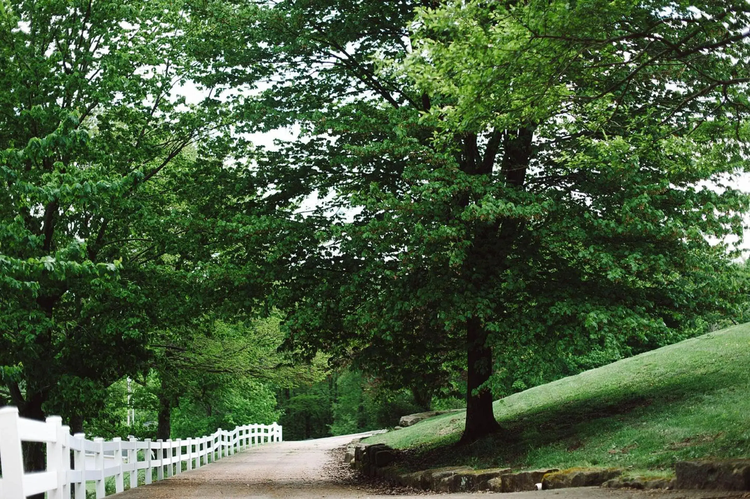 Other in The Inn at Dresden Other in The Inn at Dresden
