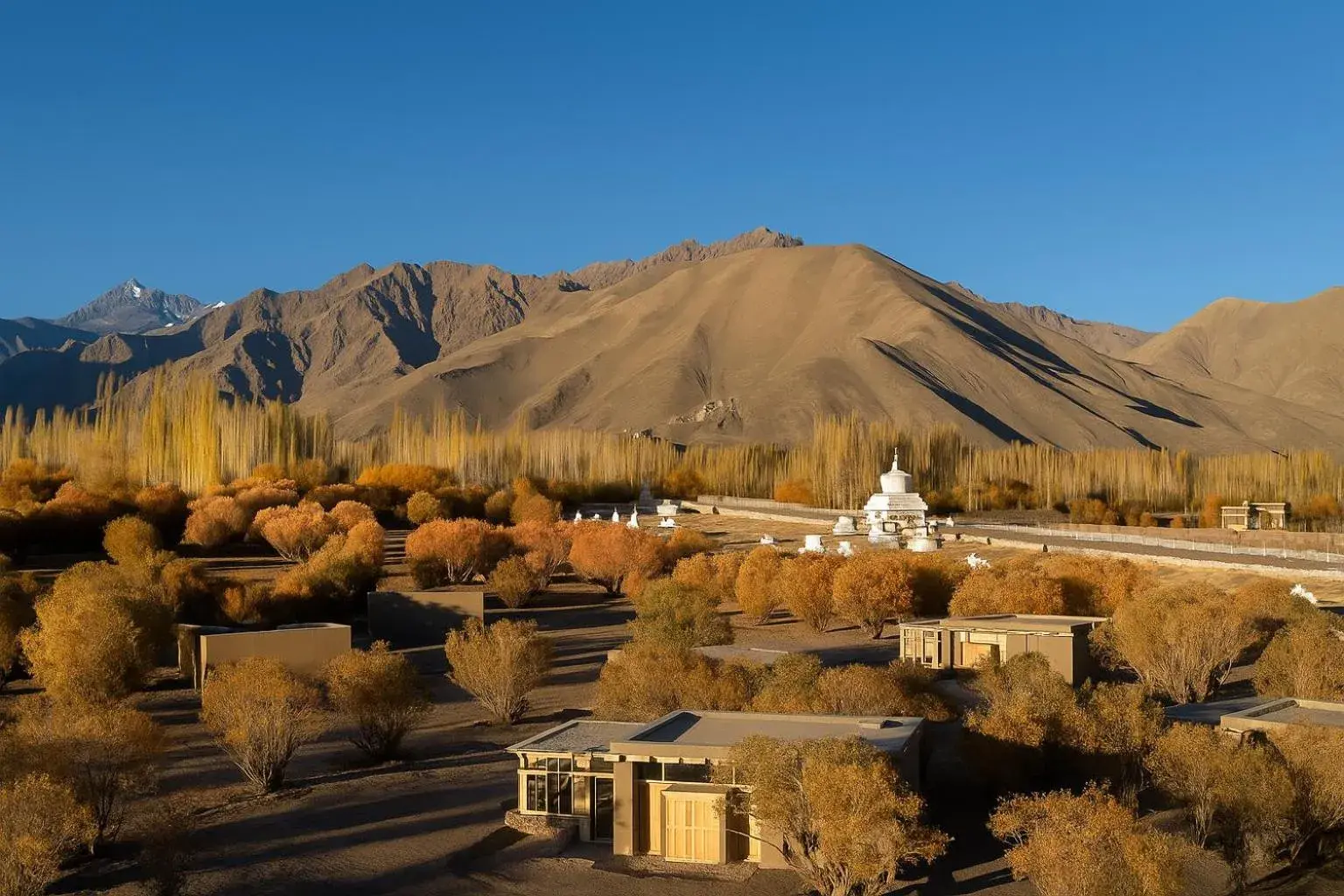 The Postcard in The Himalayan Willows, Stok, Leh The Postcard in The Himalayan Willows, Stok, Leh