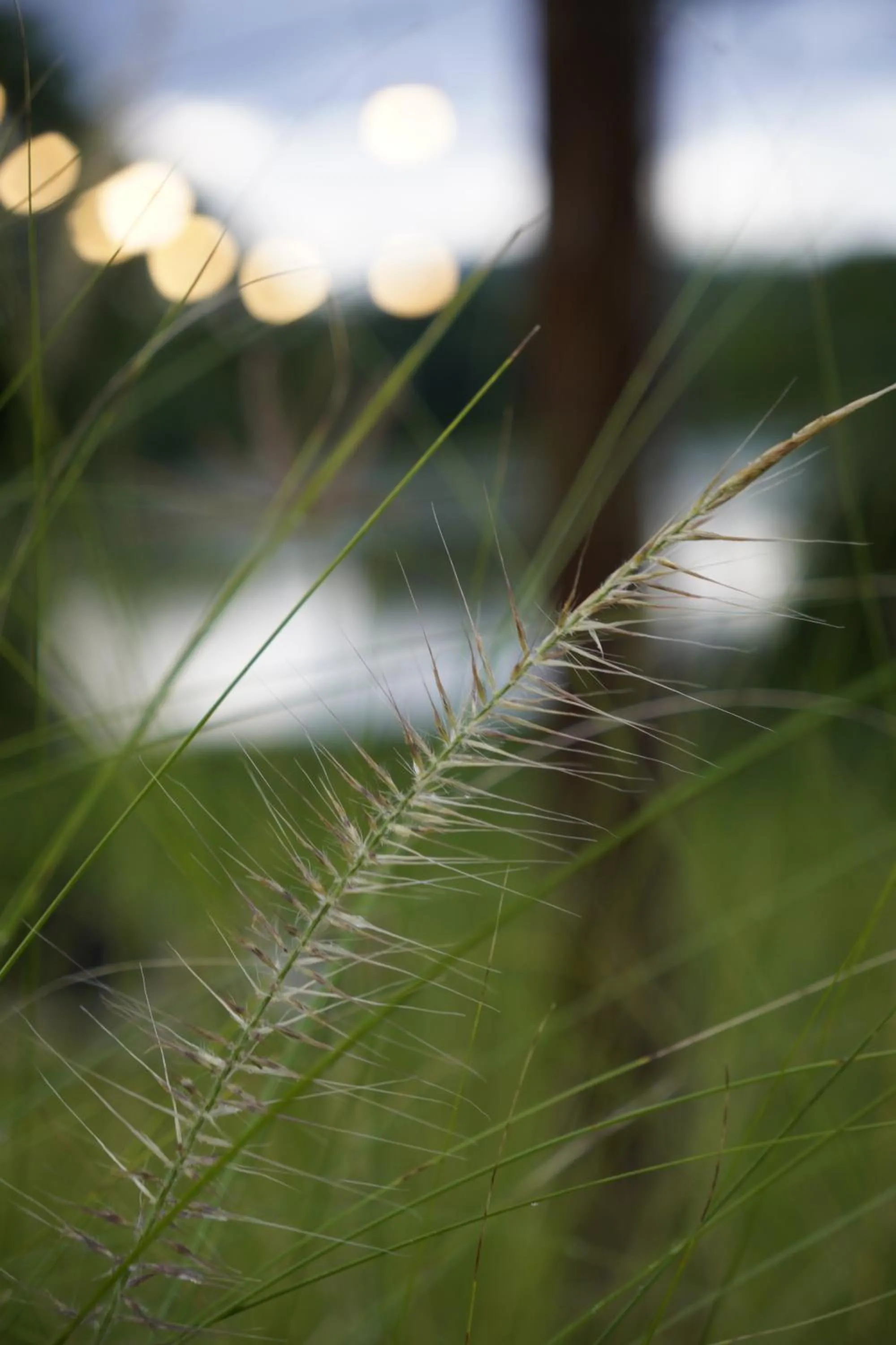Vả Riverside Retreat