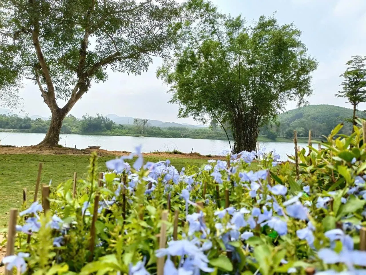 Garden view in Vả Riverside Retreat