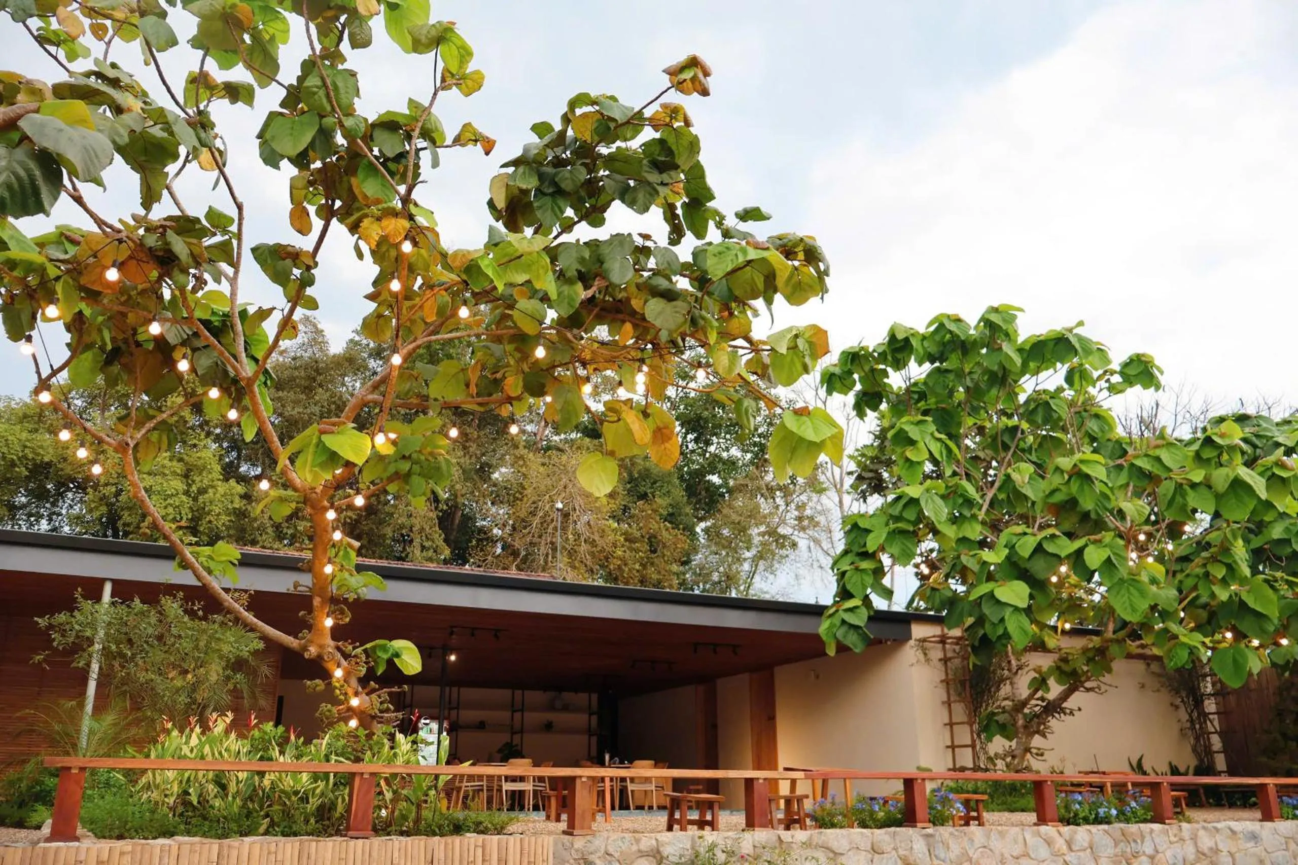 Garden view in Vả Riverside Retreat