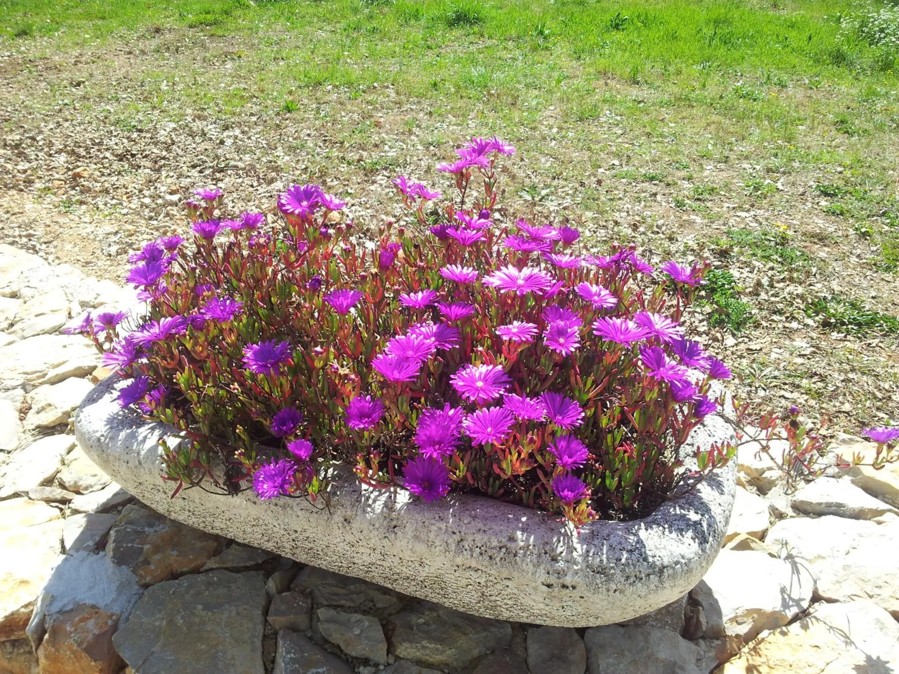 Decorative detail in Le Donjon des Combes et son Spa