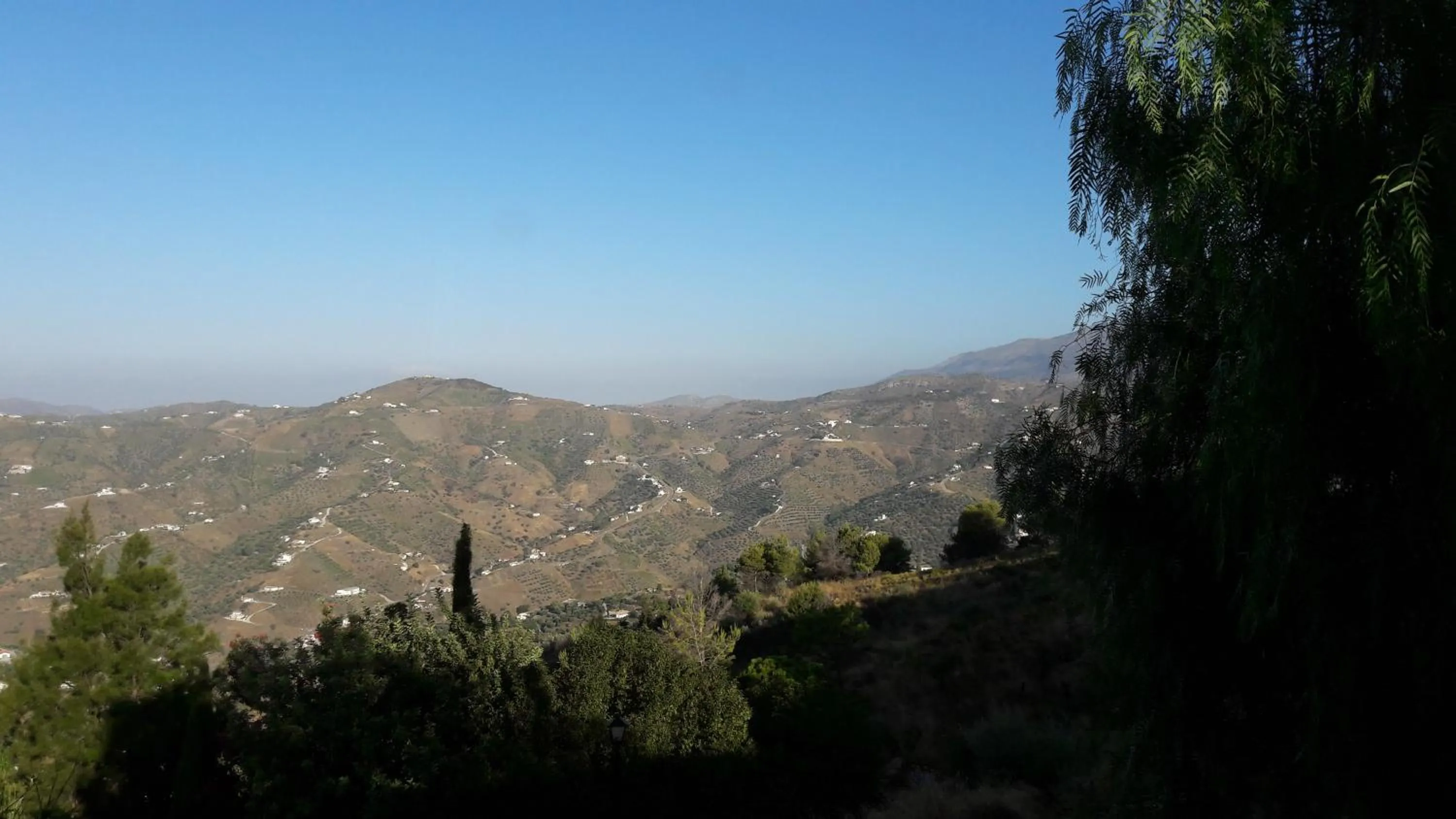 Coffee/tea facilities in Casa Roble B&B