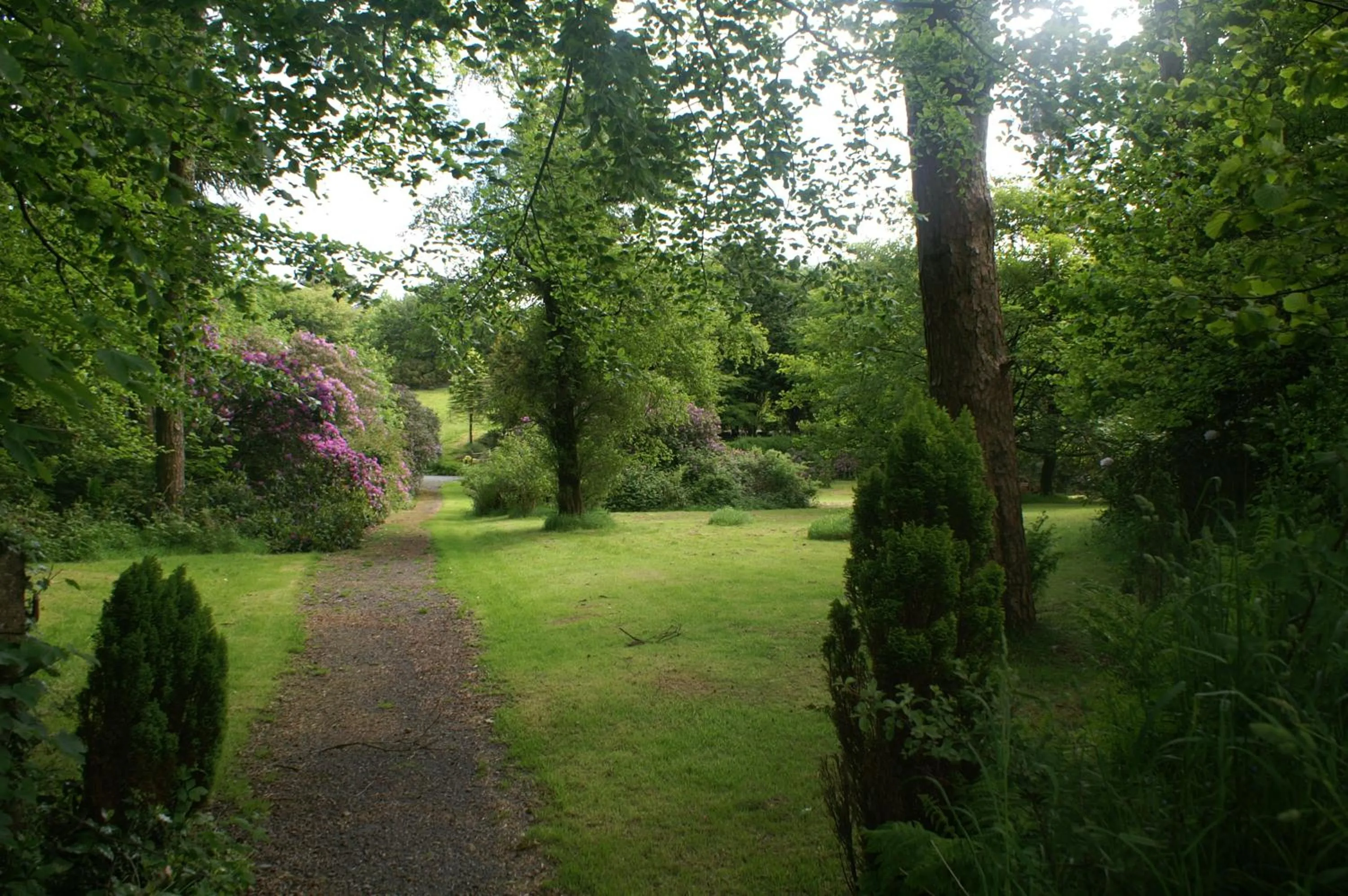 Garden view in Moorlands