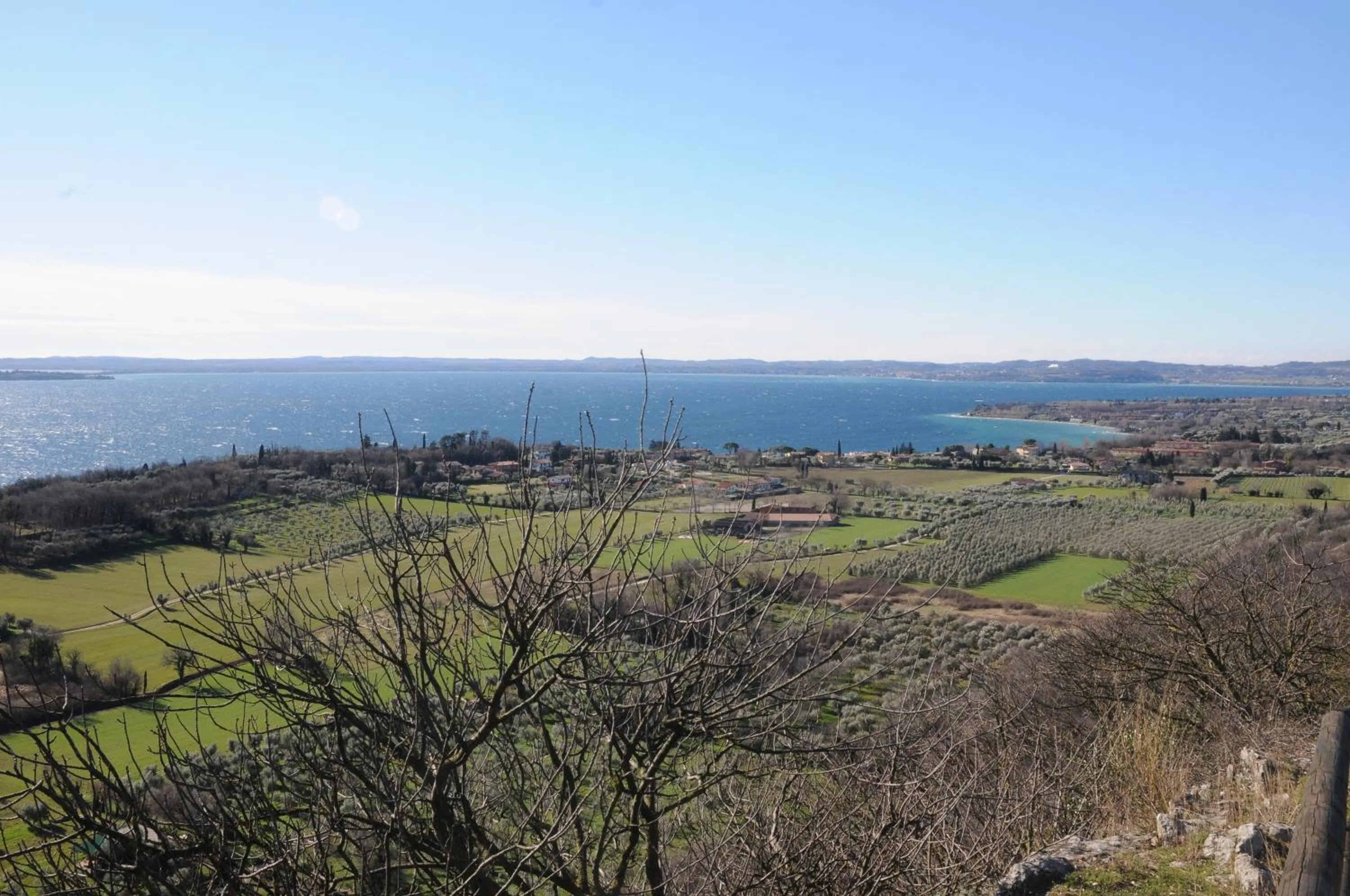 Natural landscape in Villa Artemia