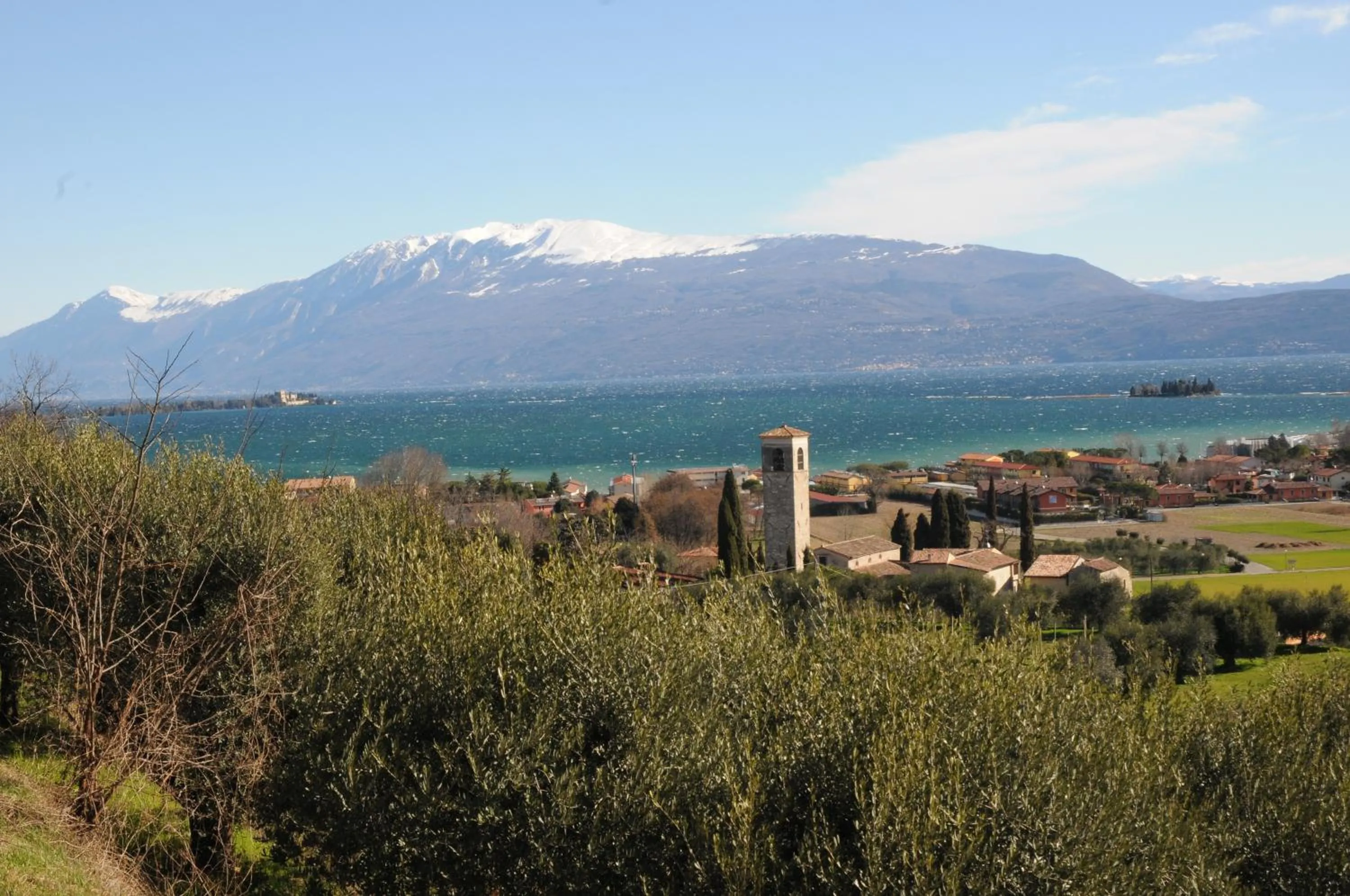 Natural landscape in Villa Artemia