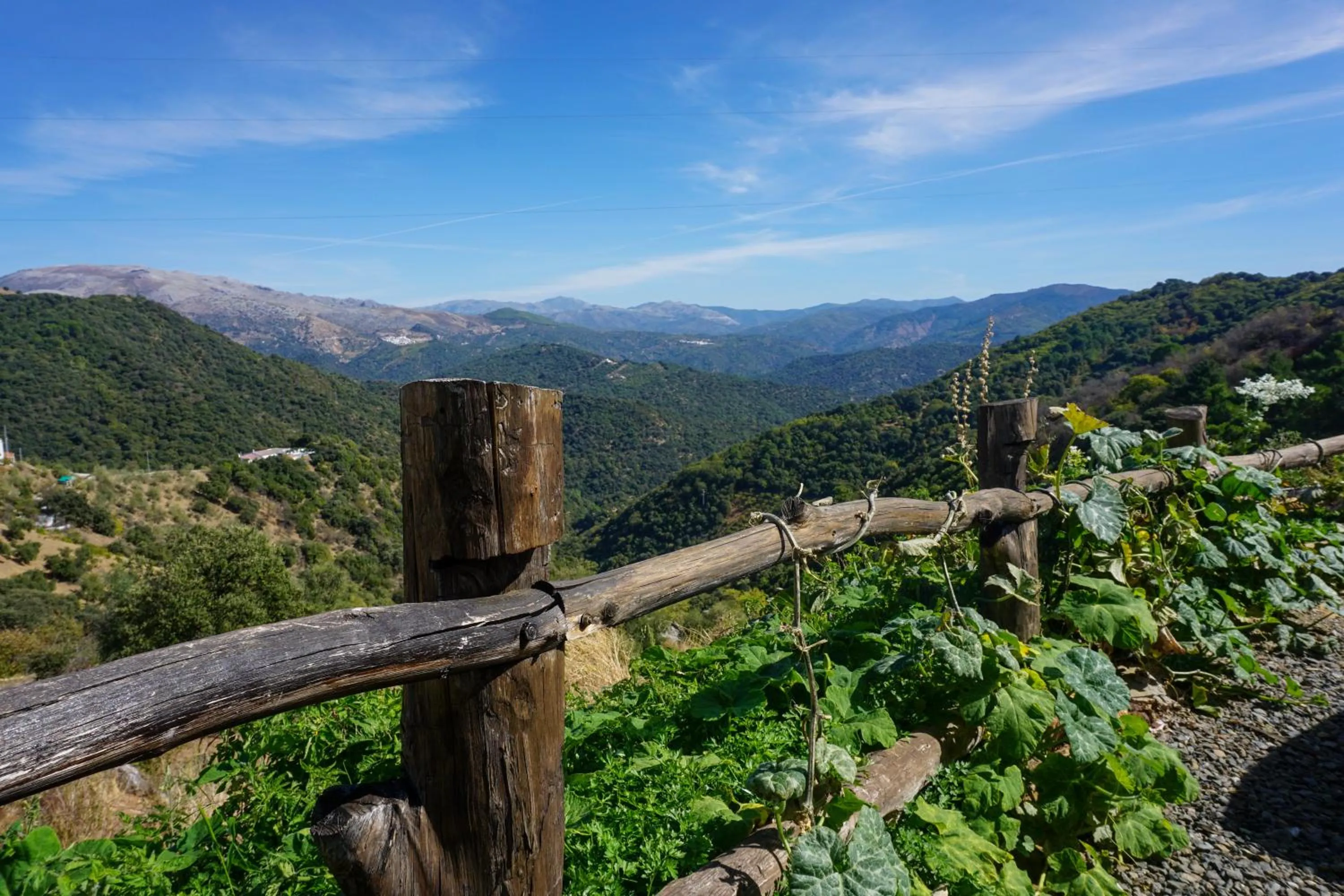 View (from property/room) in Hotel Almejí
