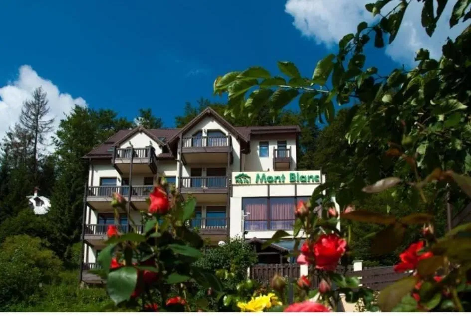 Property building in Mont Blanc