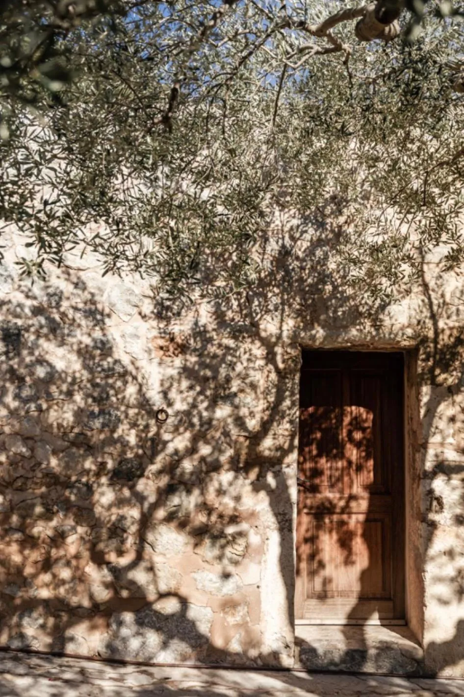 Garden in Ca'n Beneït