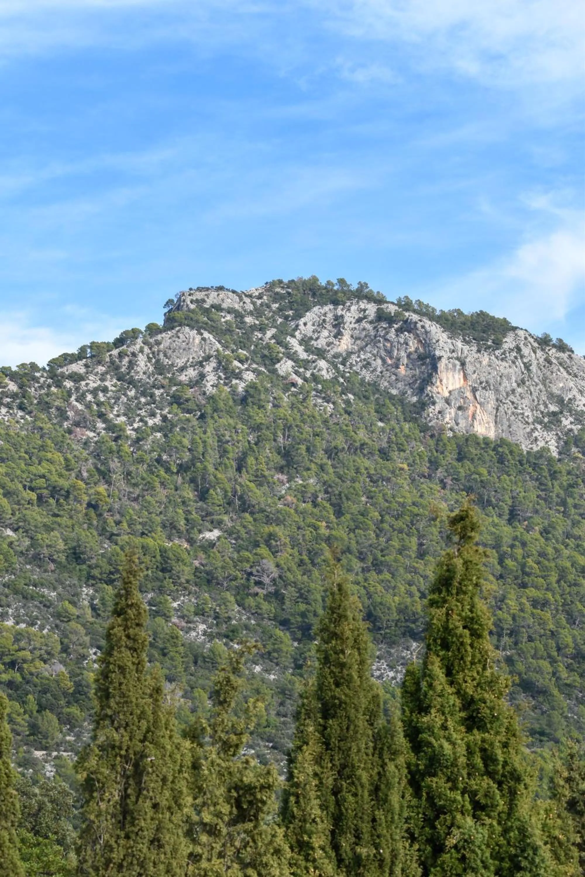 Mountain view in Ca'n Beneït