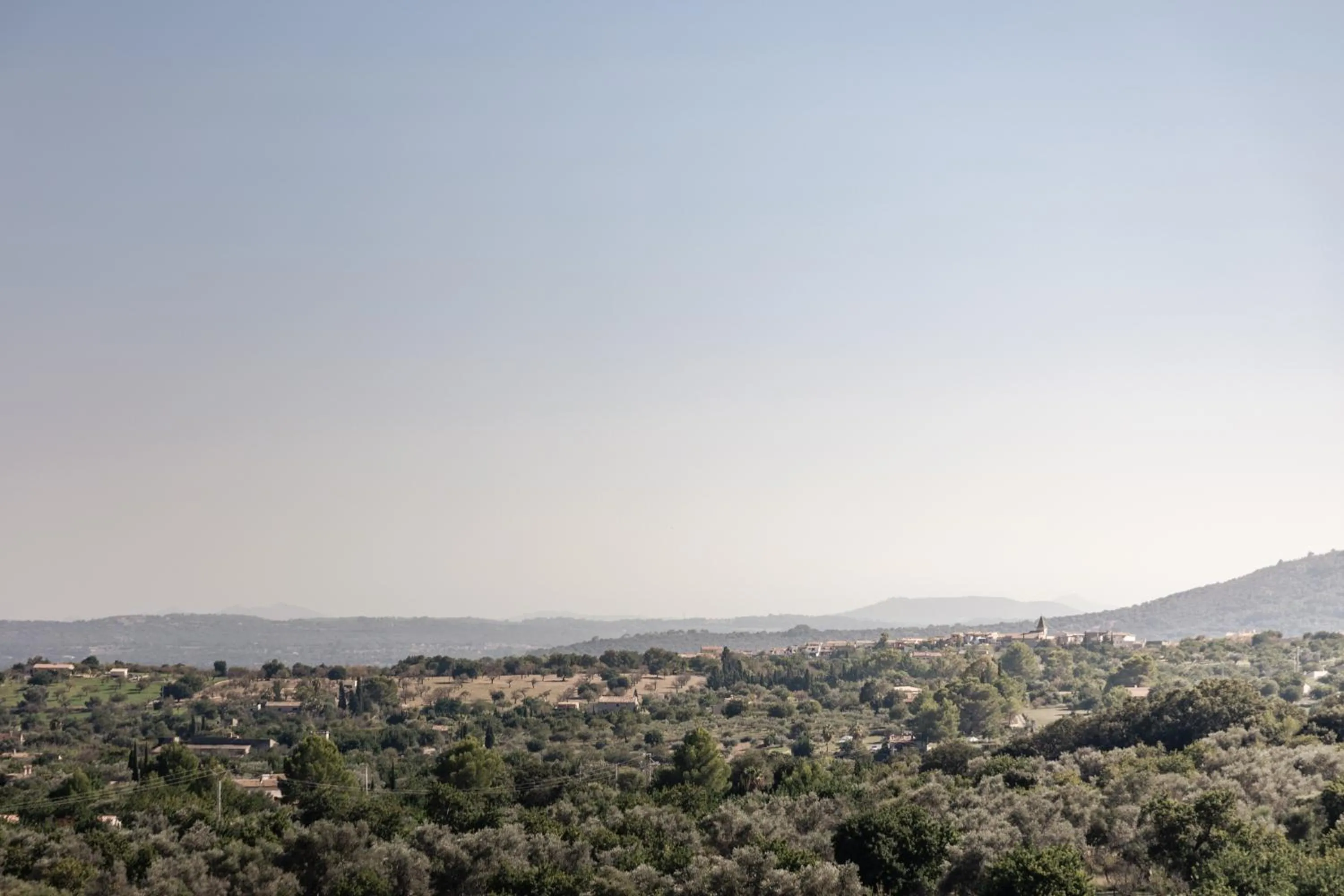 View (from property/room) in Ca'n Beneït