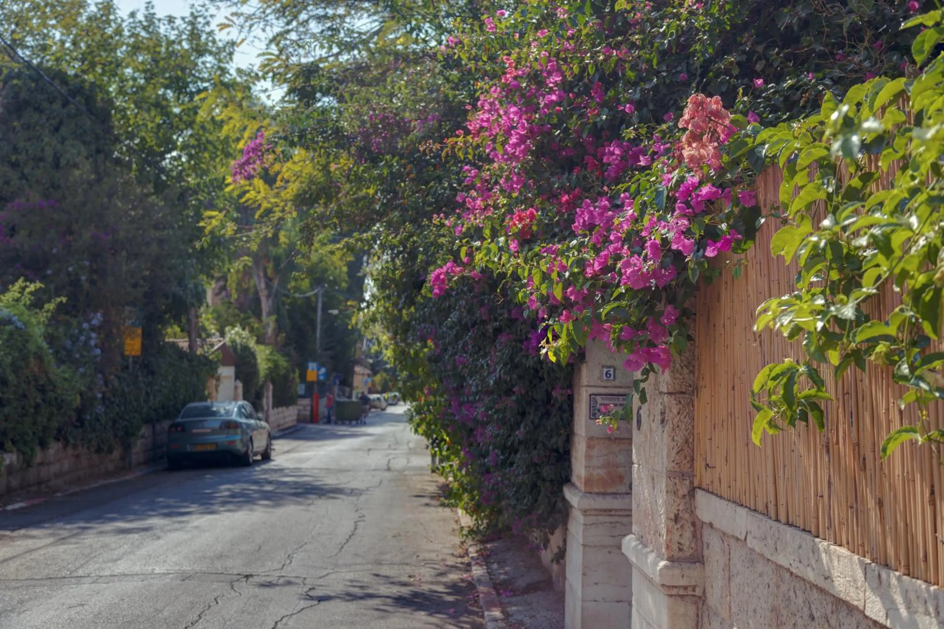 Neighbourhood in Colony Suites- Hananya St.