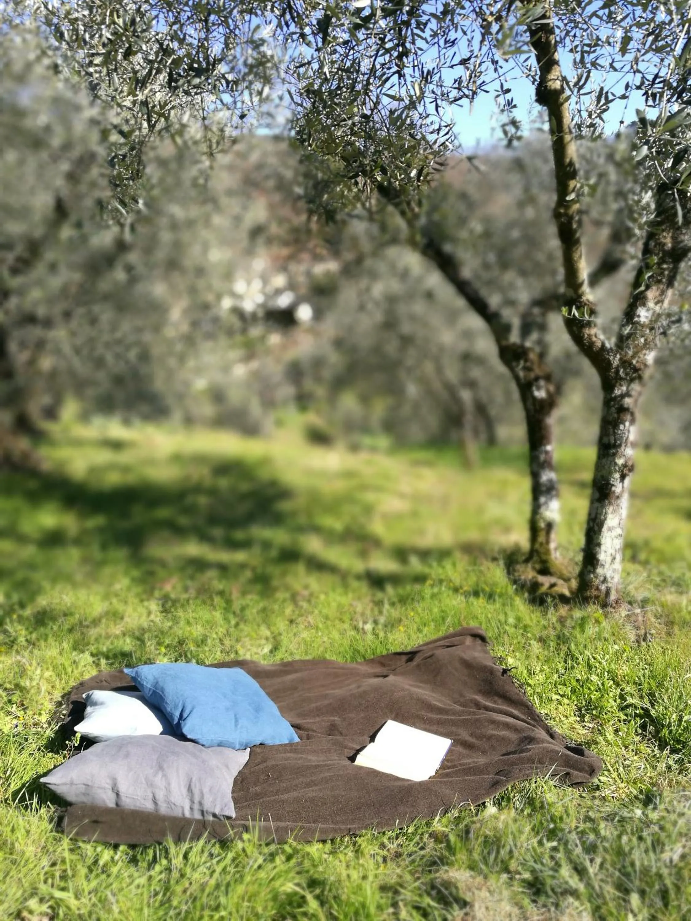 Day in Agriturismo Tananei