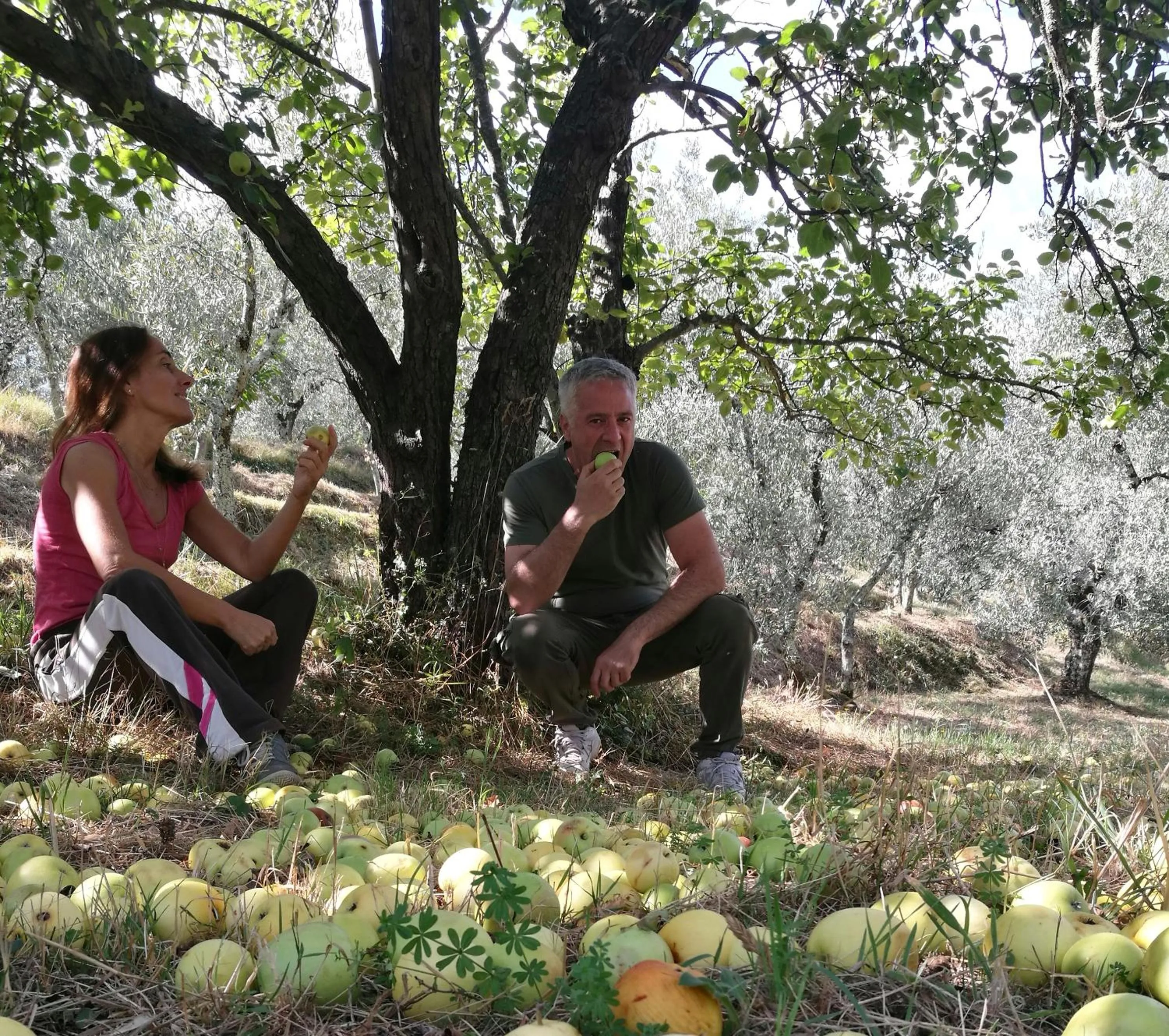 Day in Agriturismo Tananei