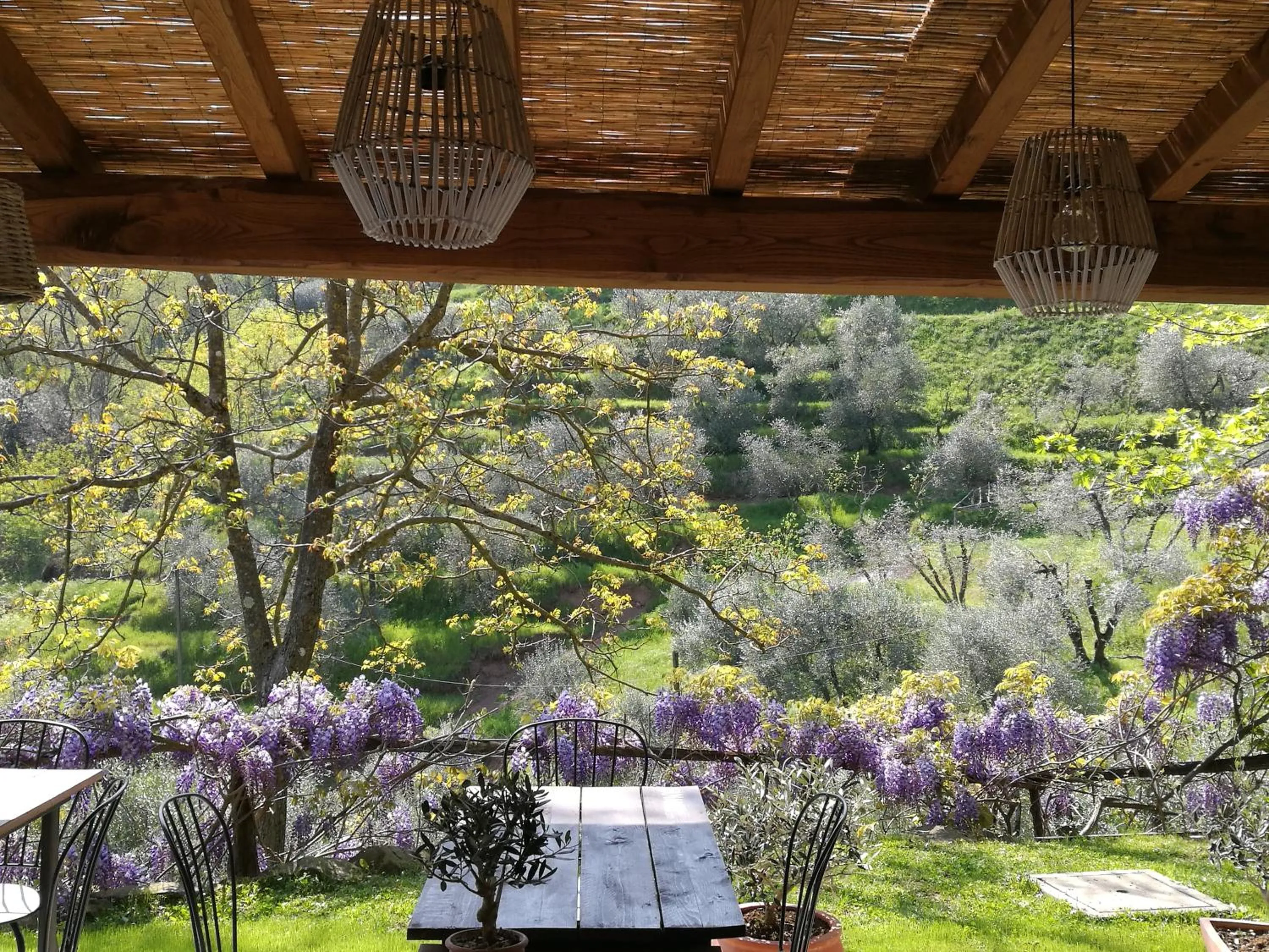 Garden in Agriturismo Tananei