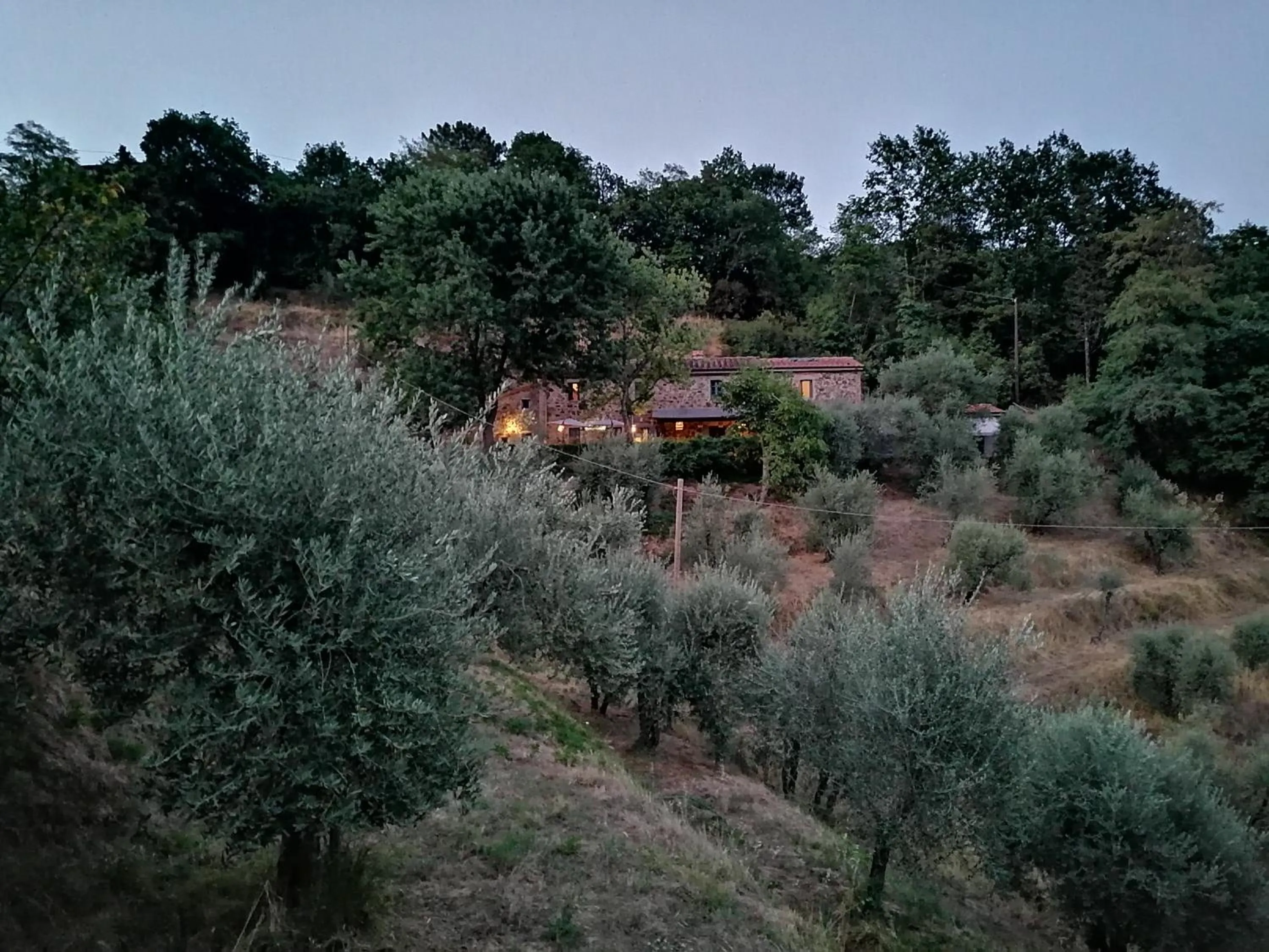 Natural landscape in Agriturismo Tananei