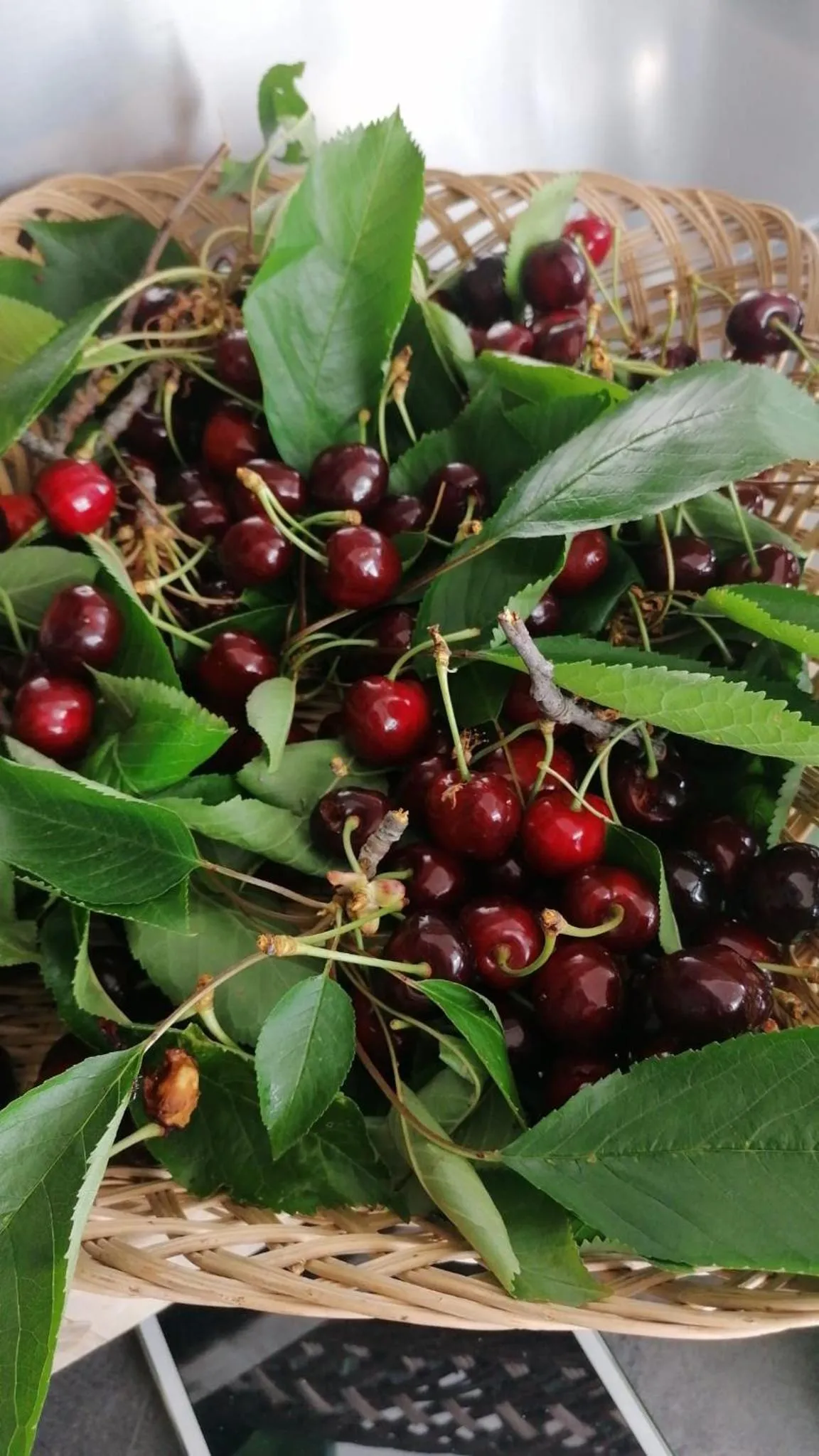 Food in Agriturismo Macchiapiede