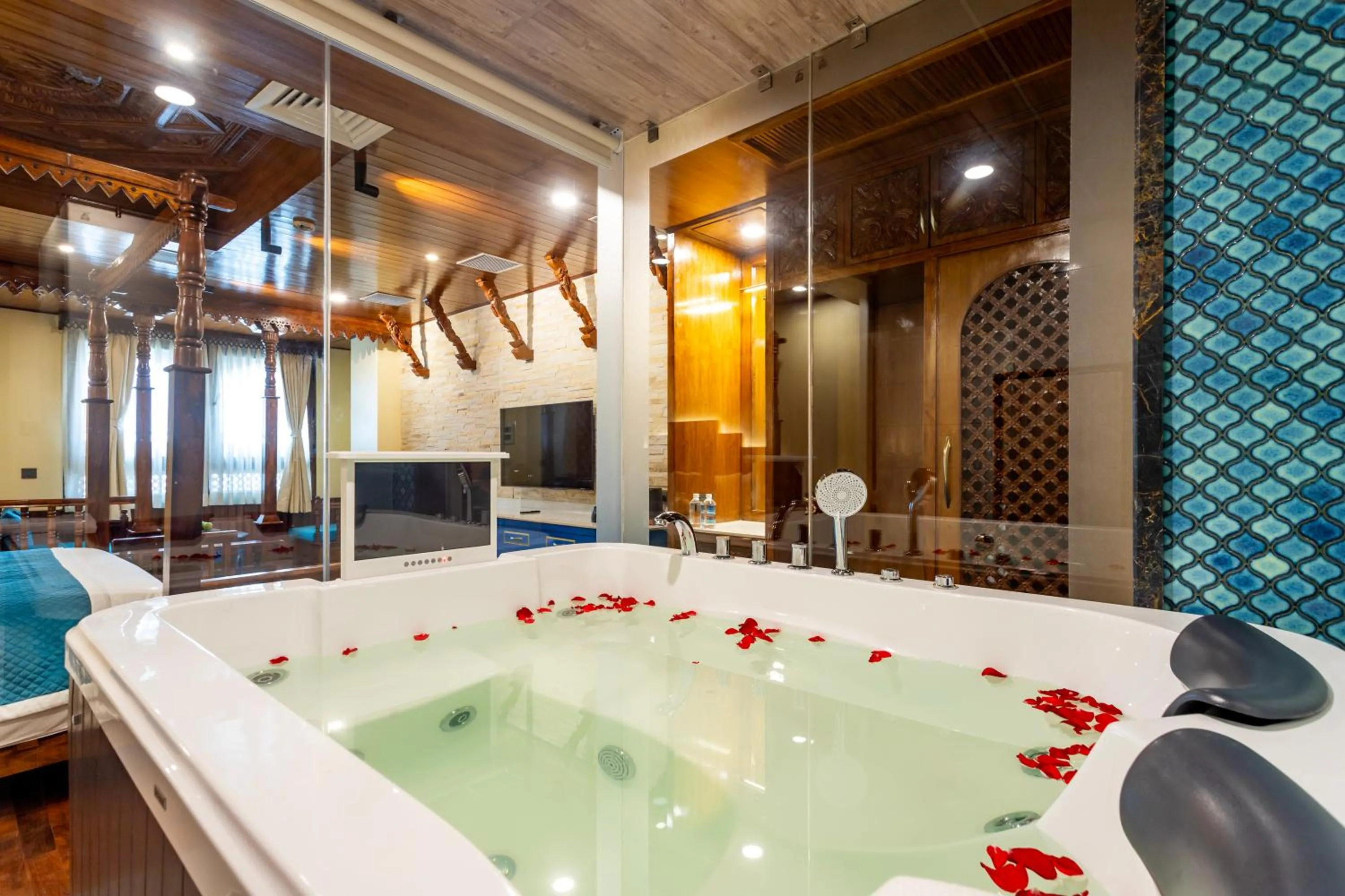 TV and multimedia in Aarya Hotel and Spa - Eternal Heritage