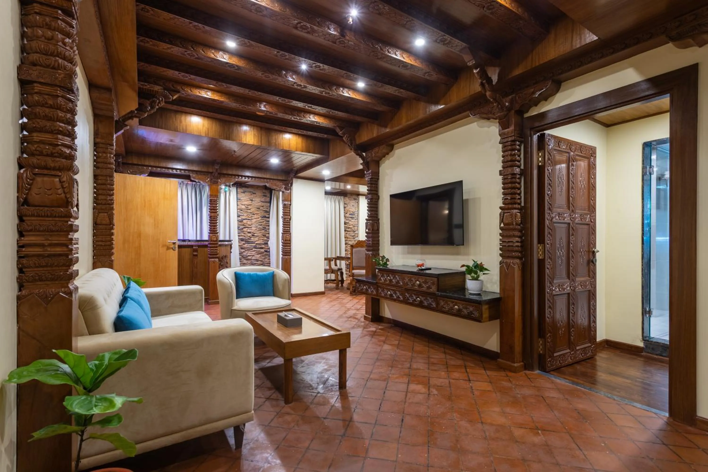 TV and multimedia in Aarya Hotel and Spa - Eternal Heritage