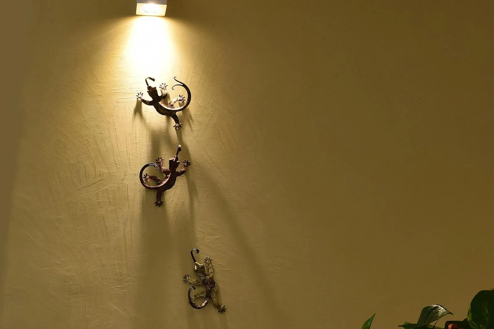 Decorative detail in Culummi Bed & Breakfast