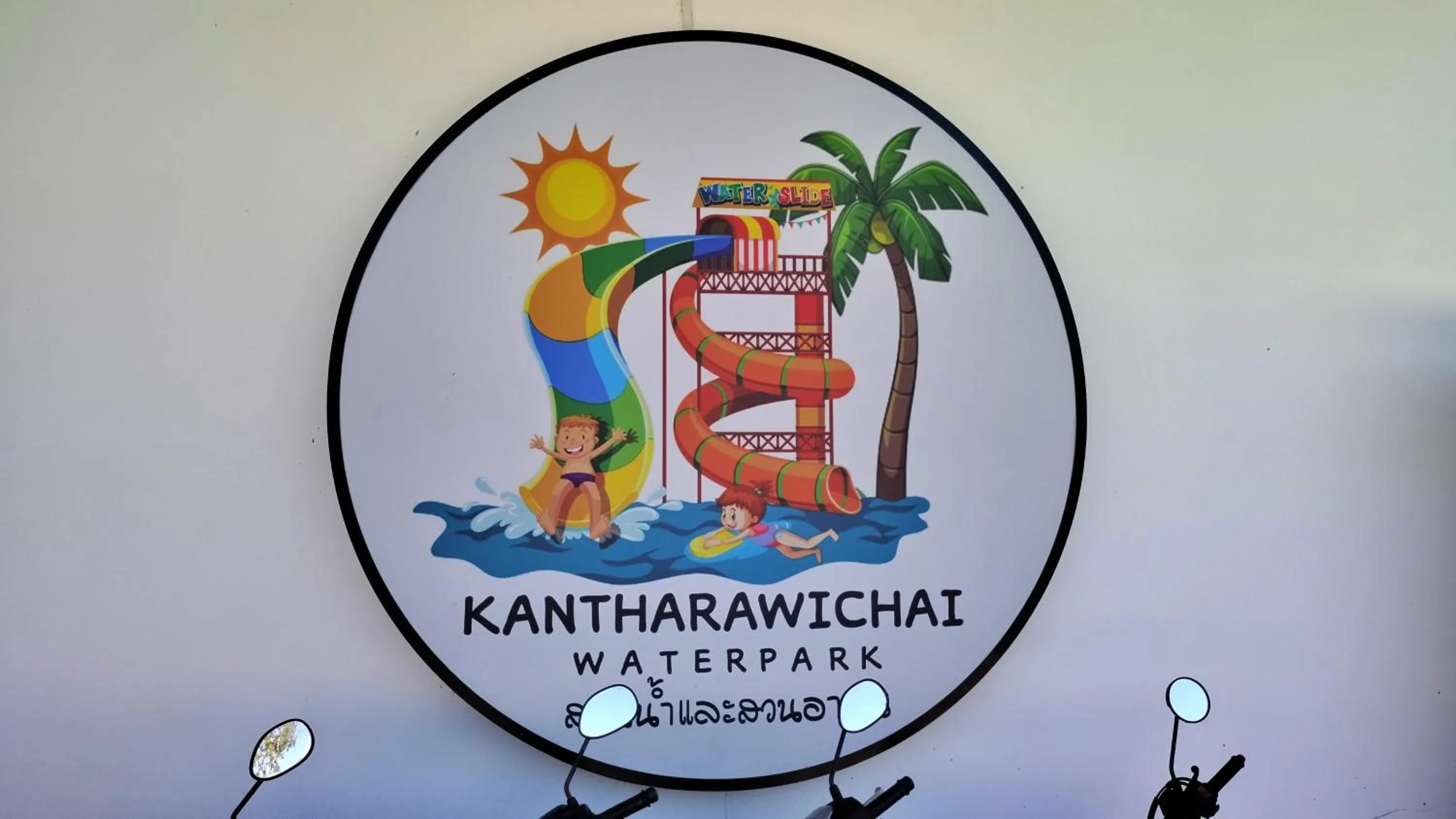 Activities in Coconut Palms