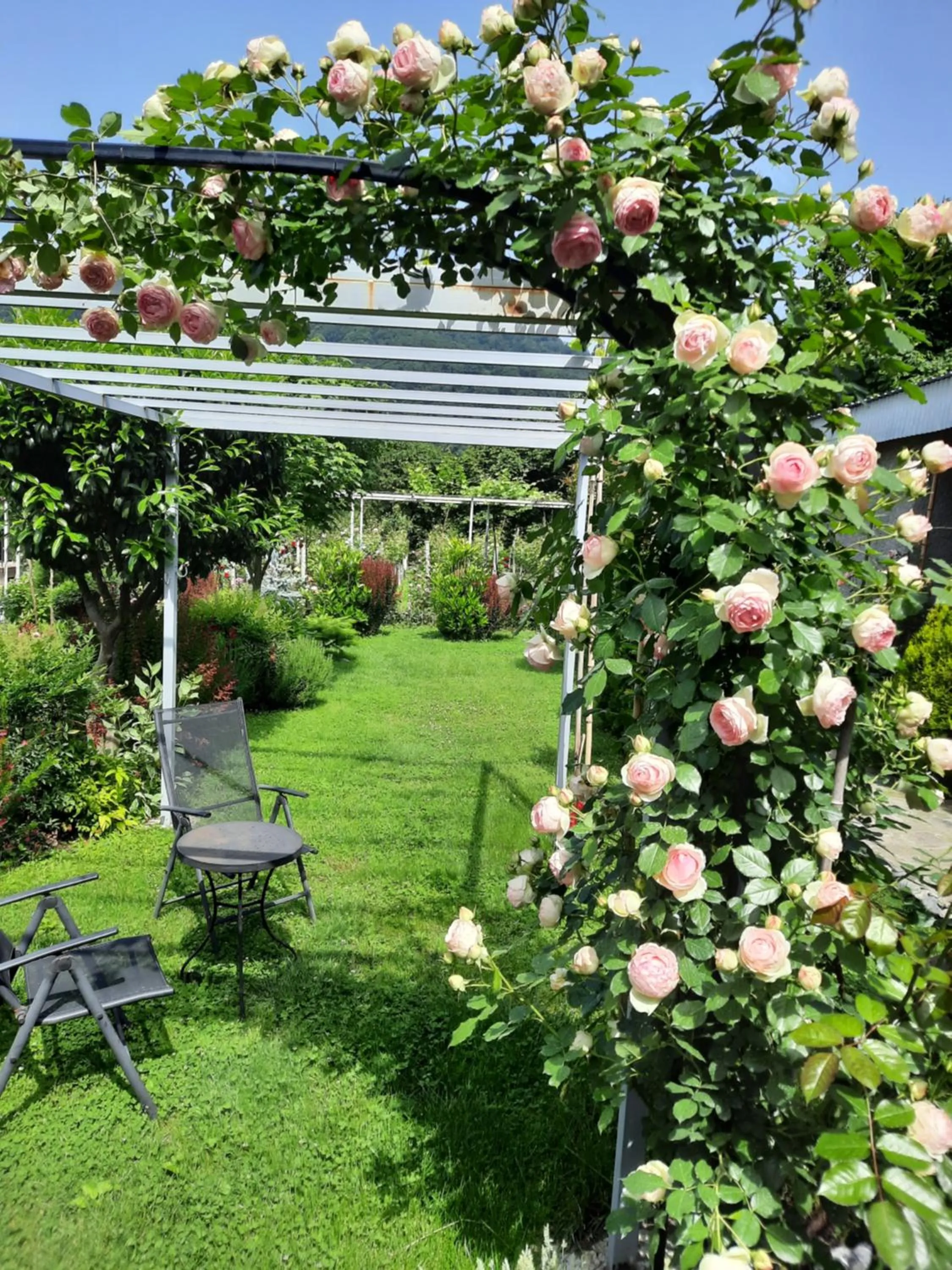 Guest House Gardenia & Wine Cellar