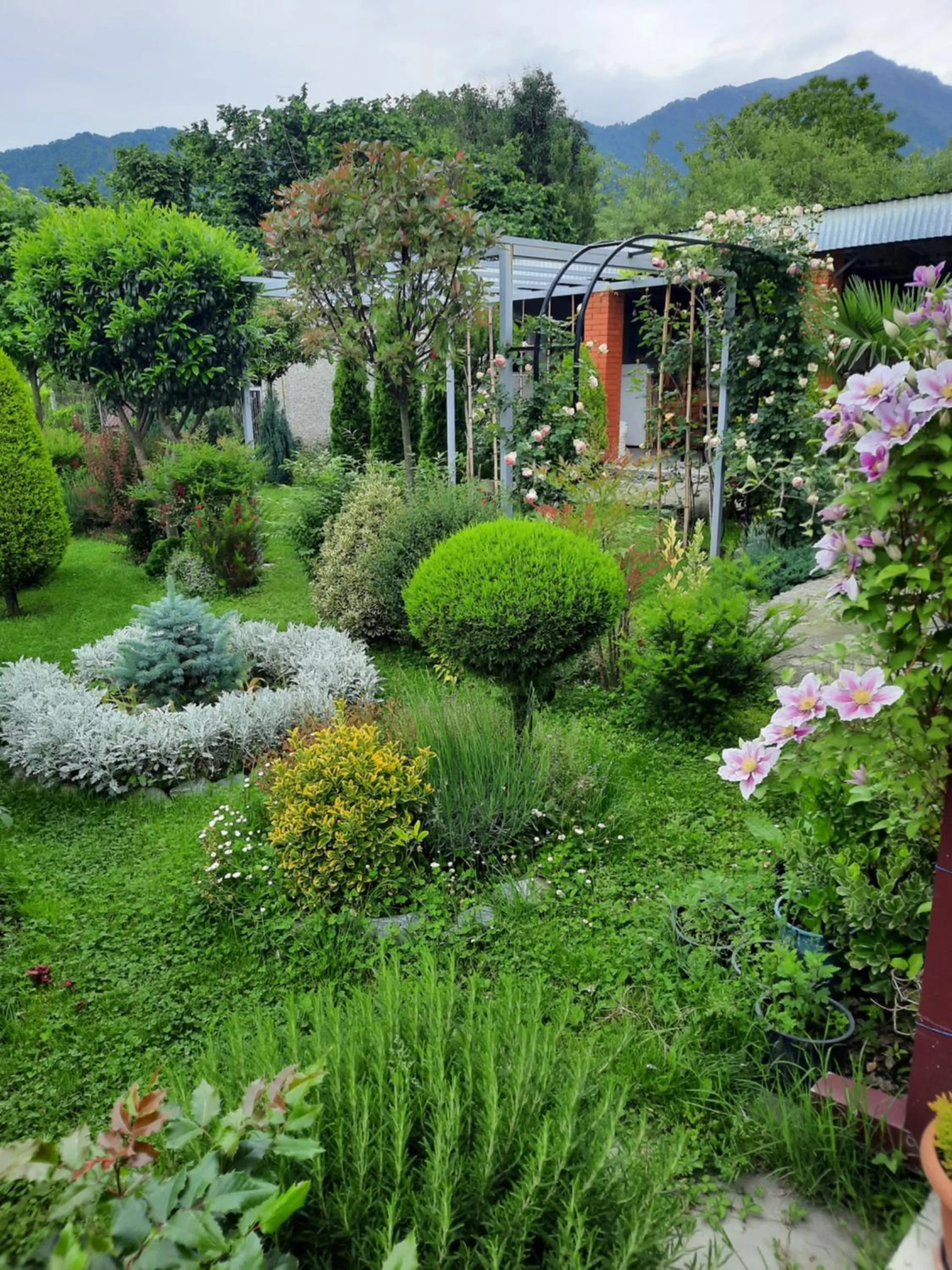 Guest House Gardenia & Wine Cellar