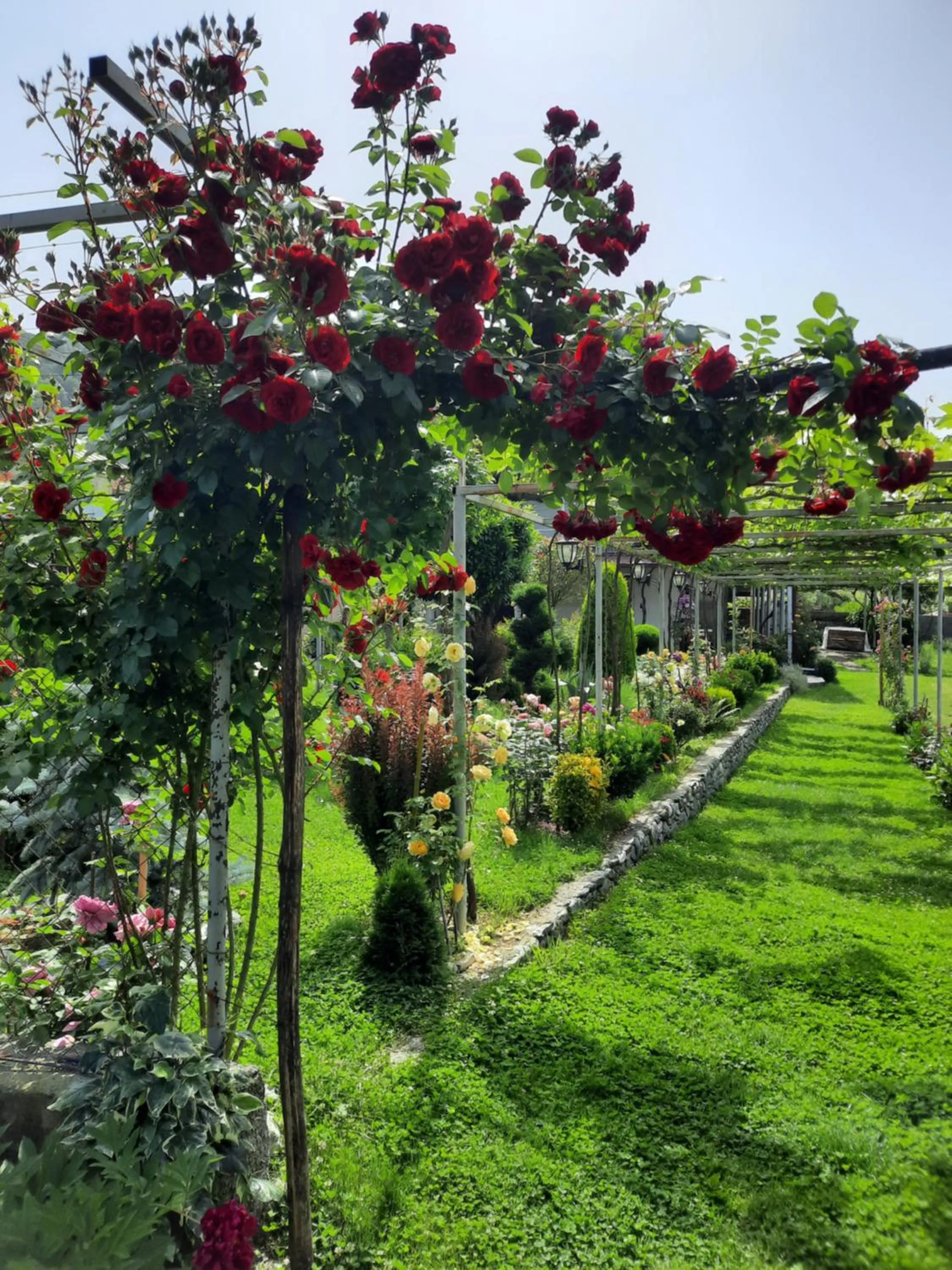 Guest House Gardenia & Wine Cellar