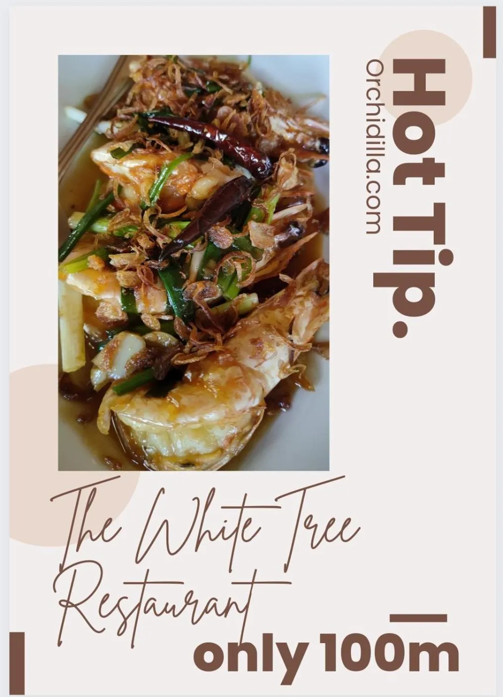 Orchidilla Residence Phuket Mai Khao Beach - SHAPlus