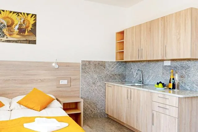 Studio with Balcony in Hotel Galica