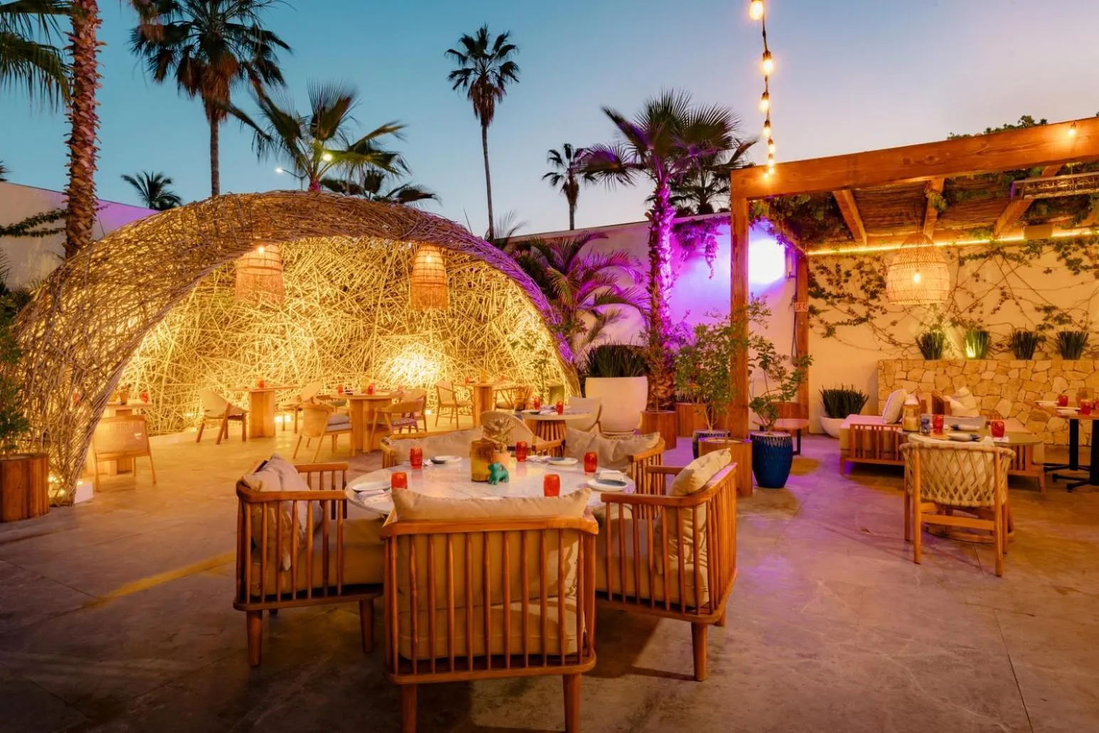 Restaurant/places to eat in Viceroy Los Cabos
