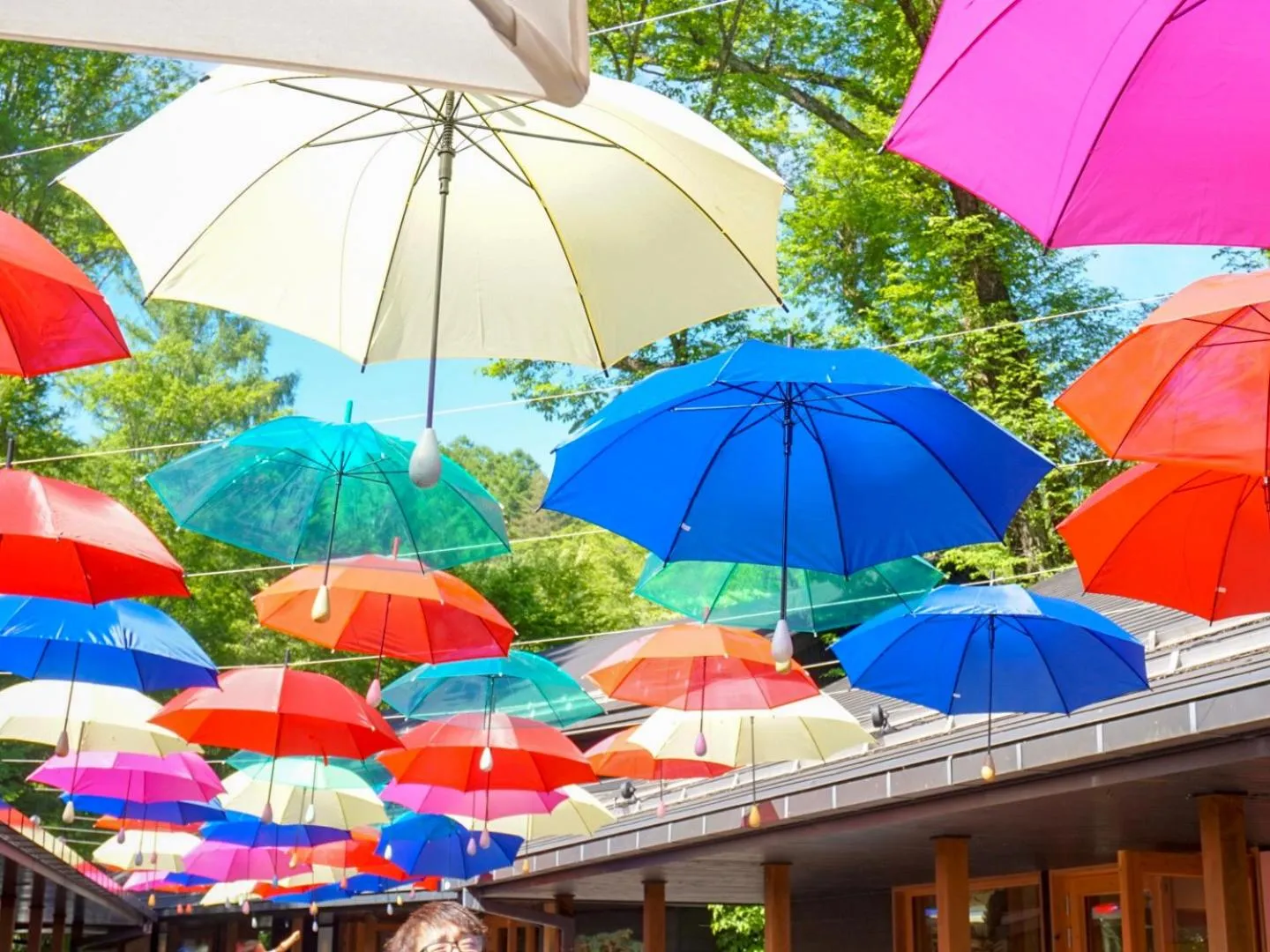 Nearby landmark in Karuizawa Pension Sato no Nukumori