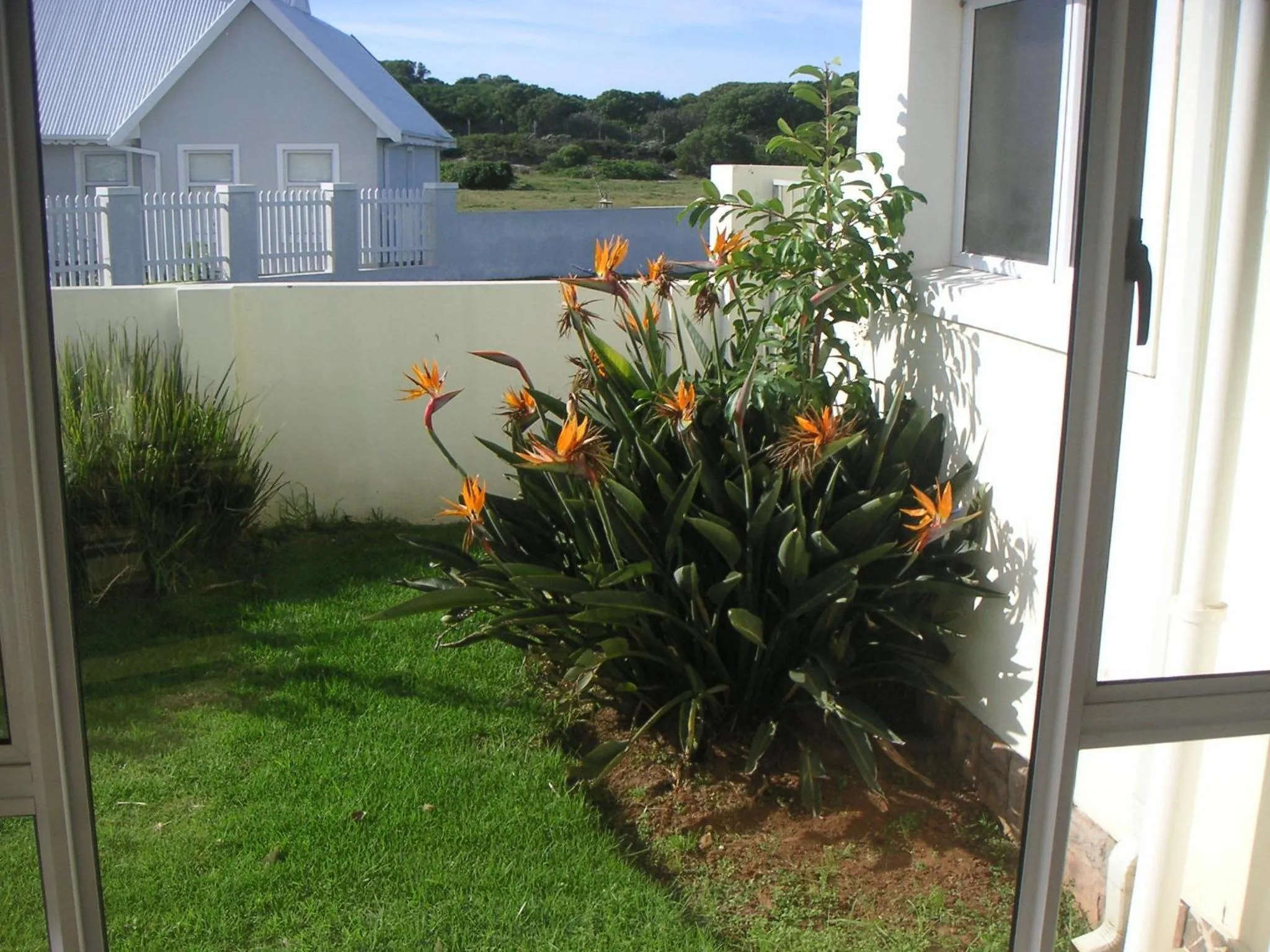 Garden in Waterside Living MM1394