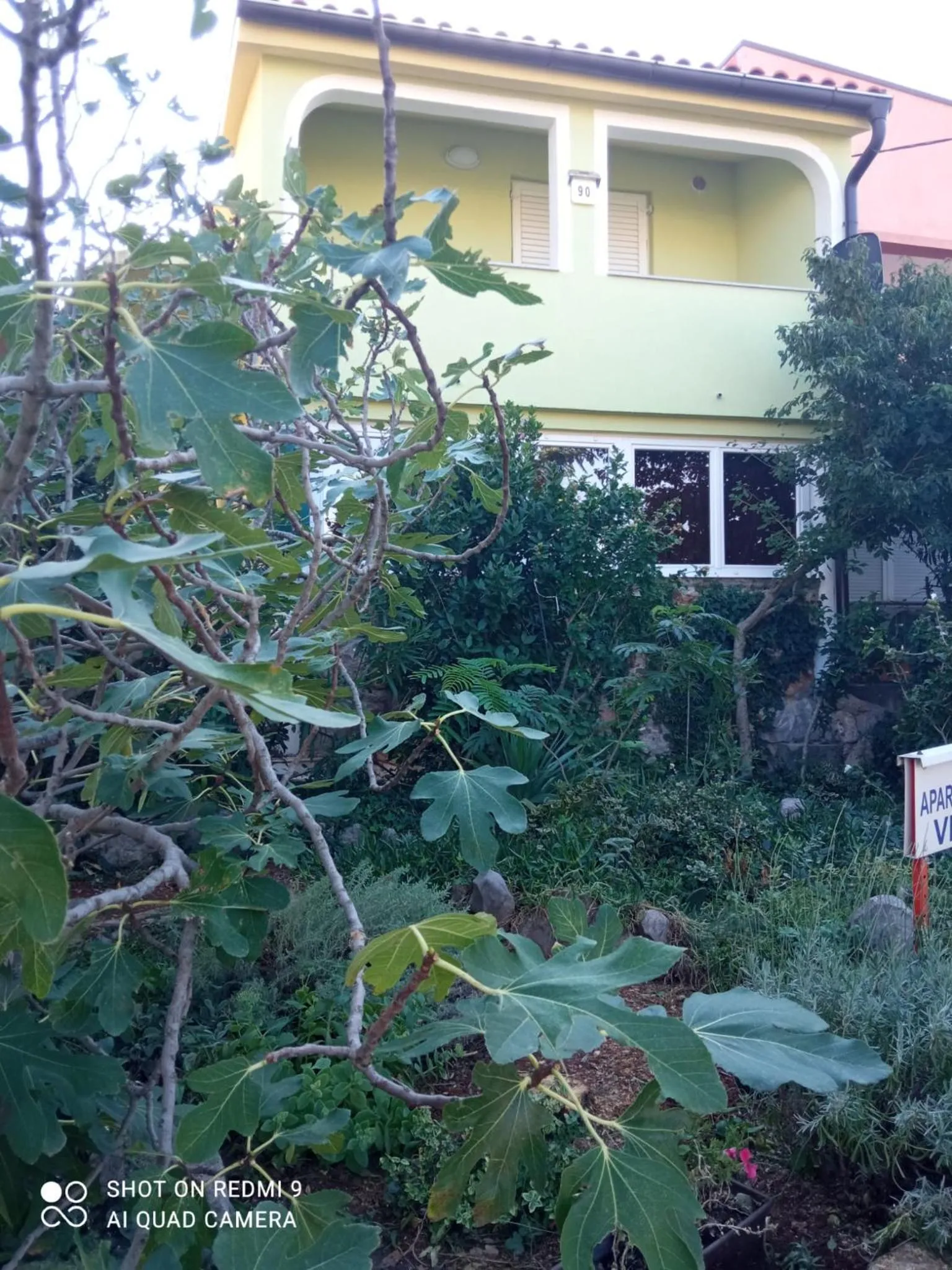 Apartments Vesna