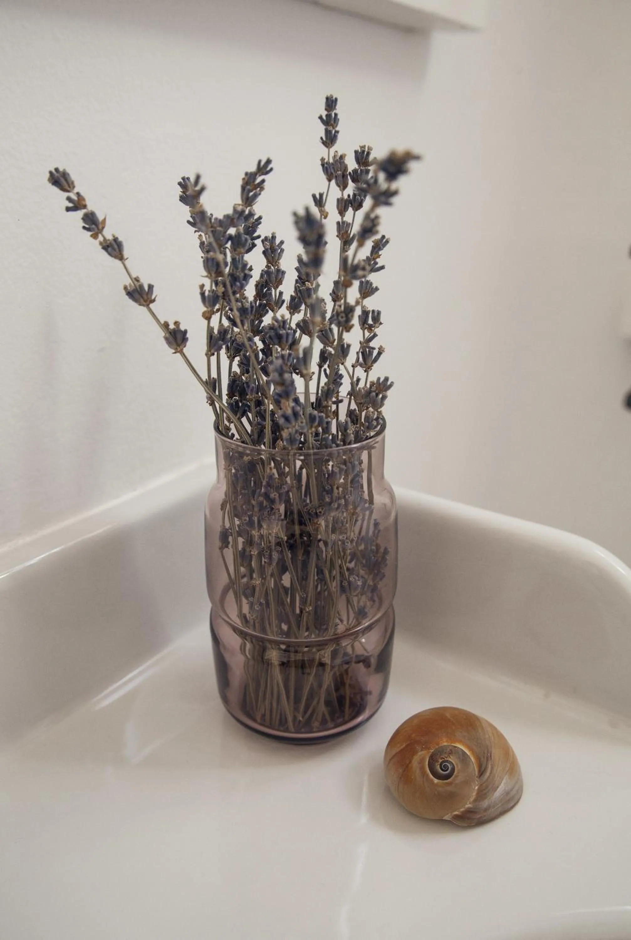 Toilet in A Casa do Porto