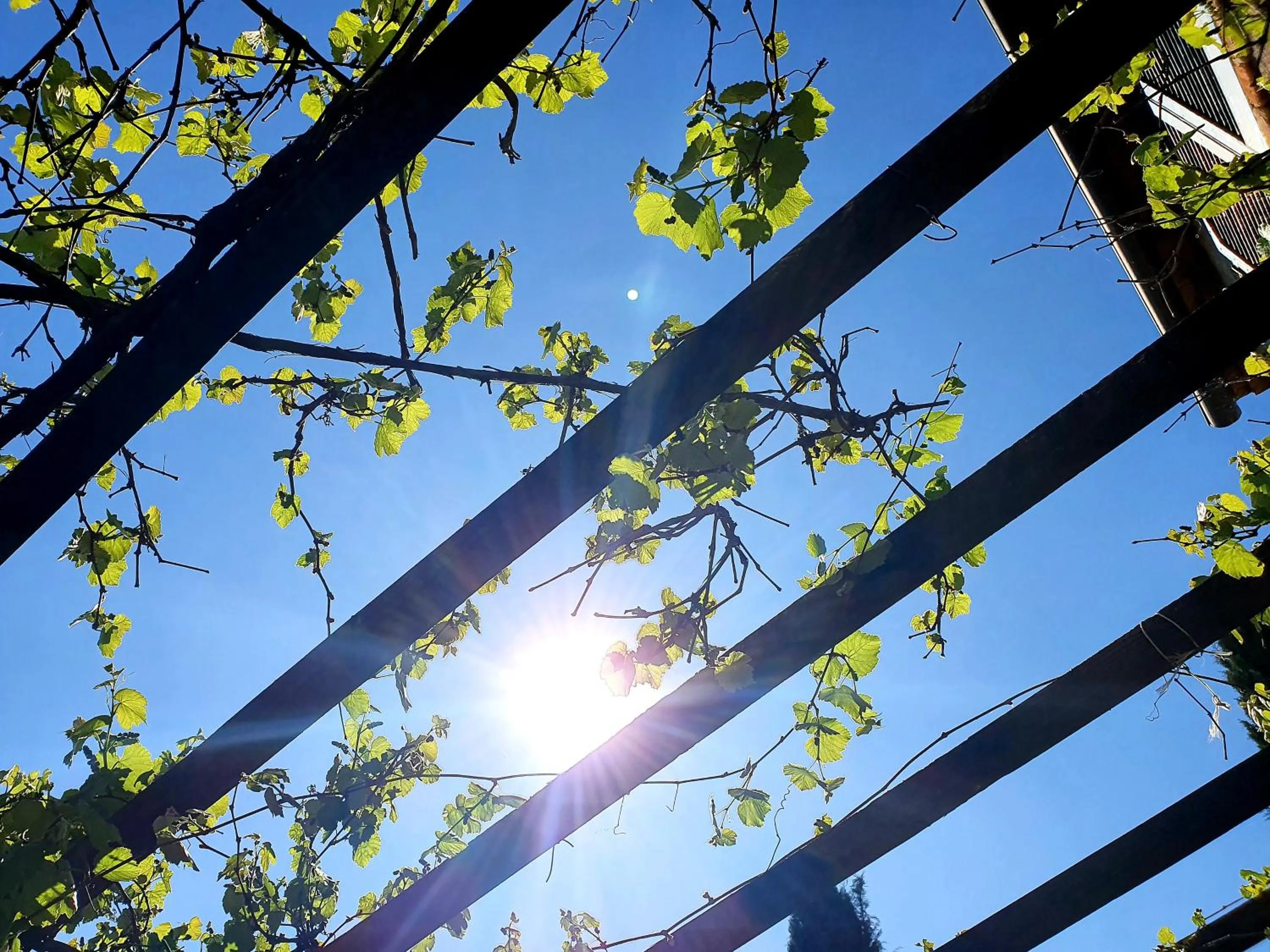 Residenza Santa Maria In Borraccia