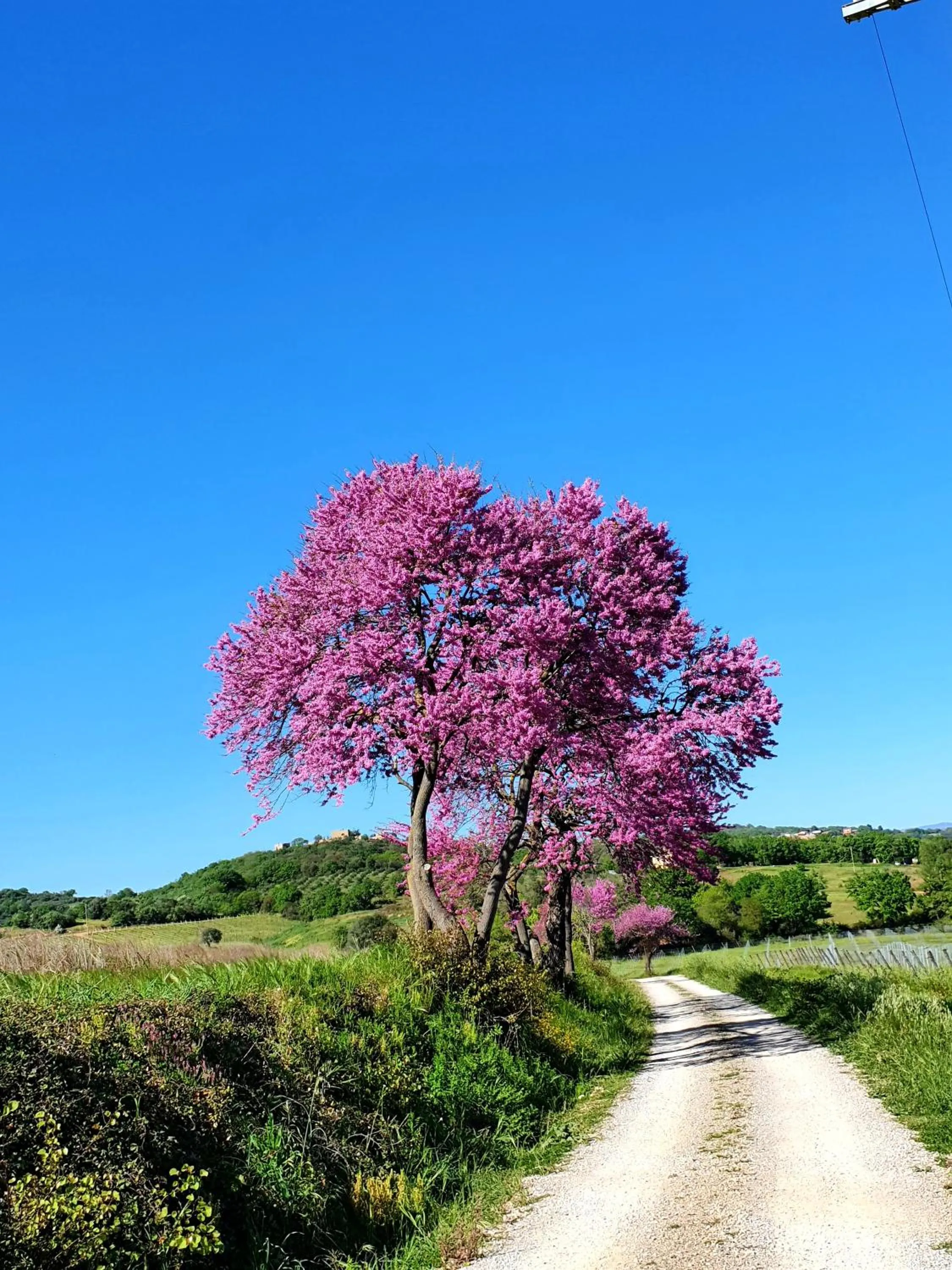 Residenza Santa Maria In Borraccia