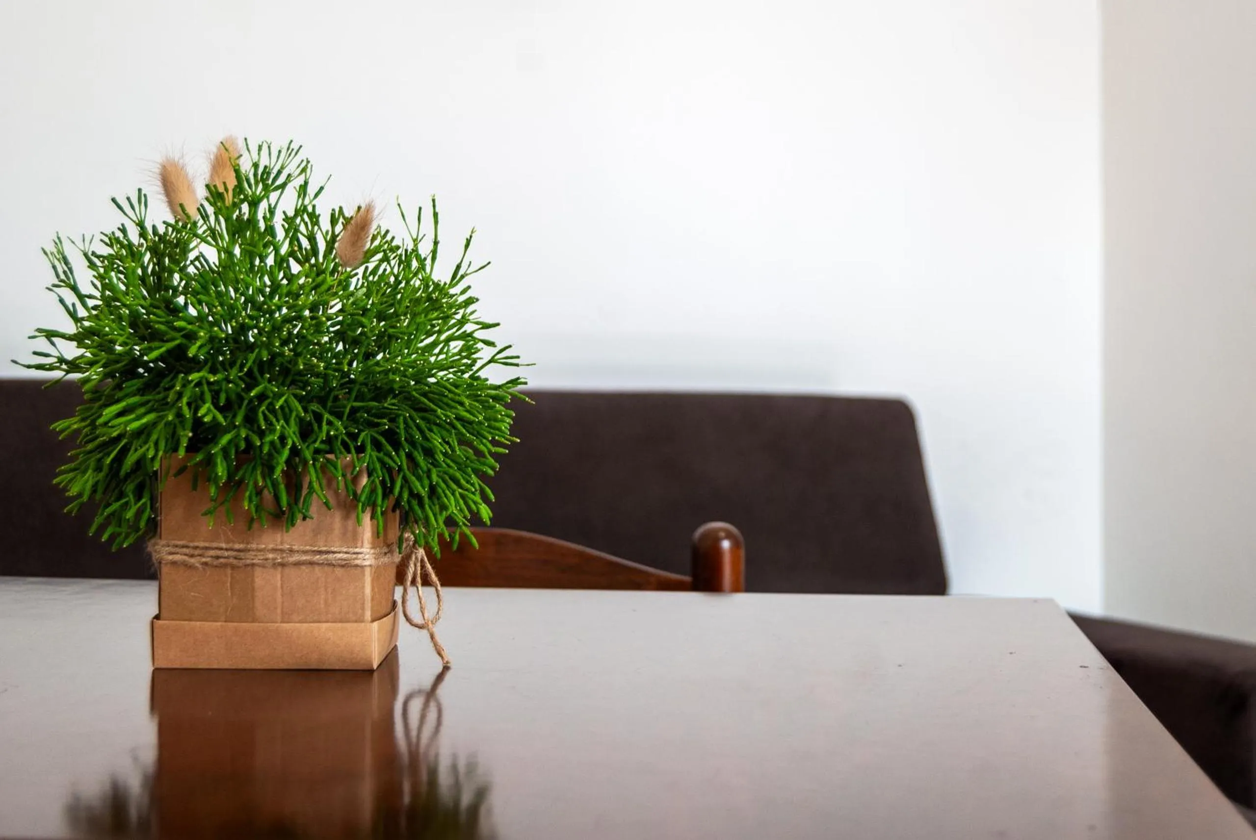 B&B Masseria Donna Carlotta