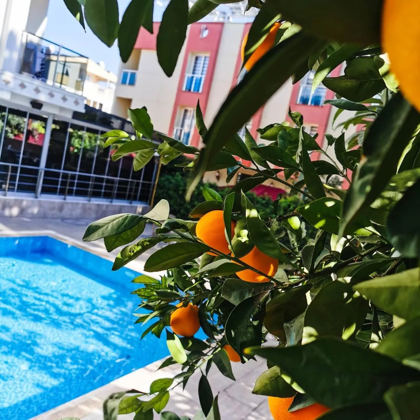 Swimming pool in Güden-Pearl