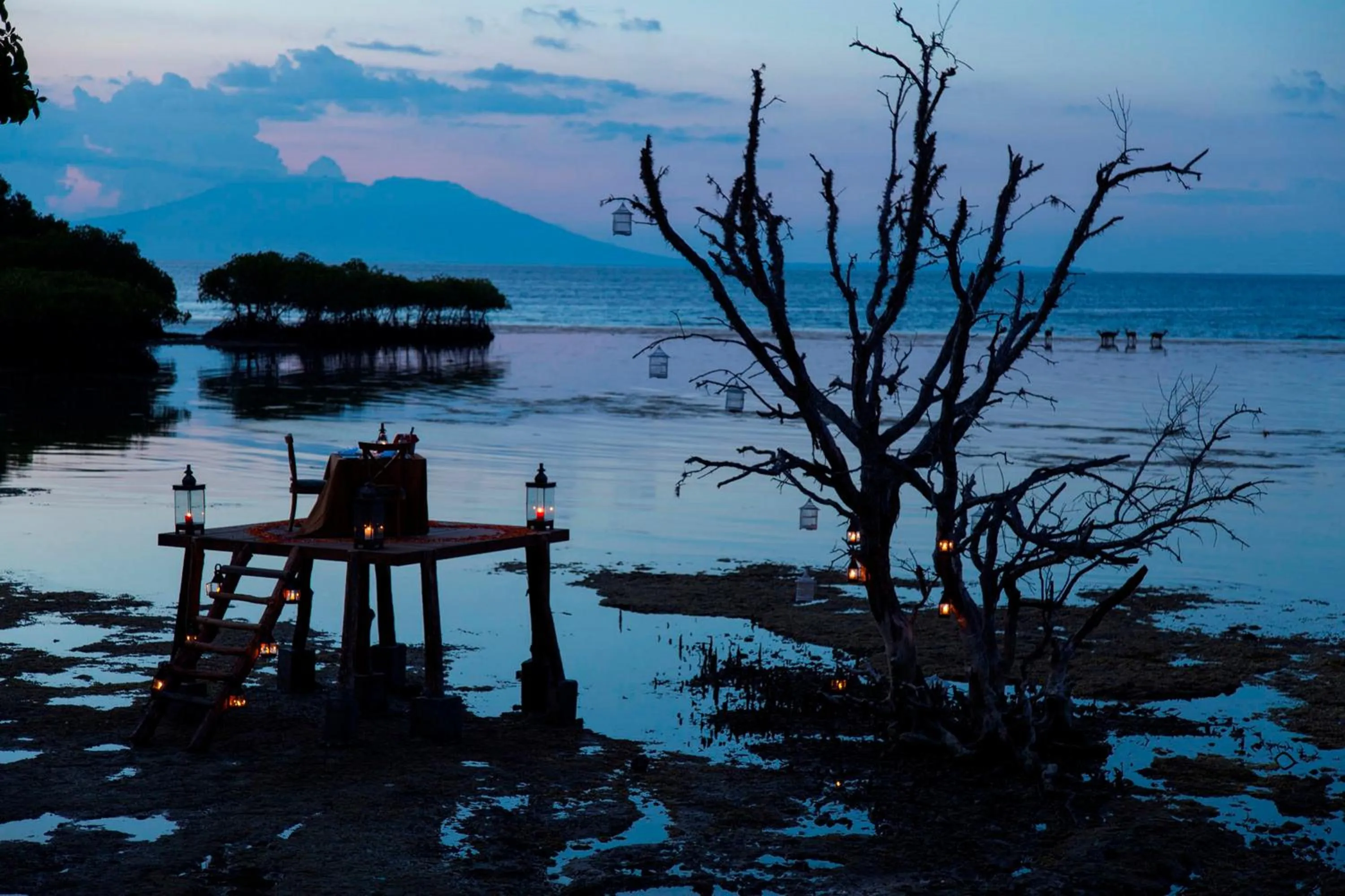 Dining area in Plataran Menjangan Resort and Spa - CHSE Certified